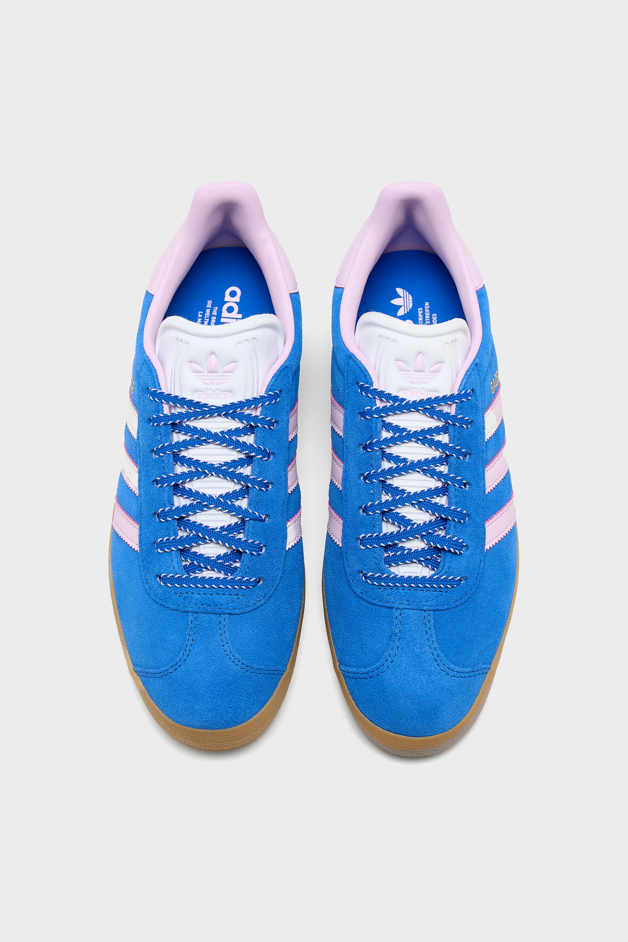 Gazelle for Women (251 / W / BLUE)
