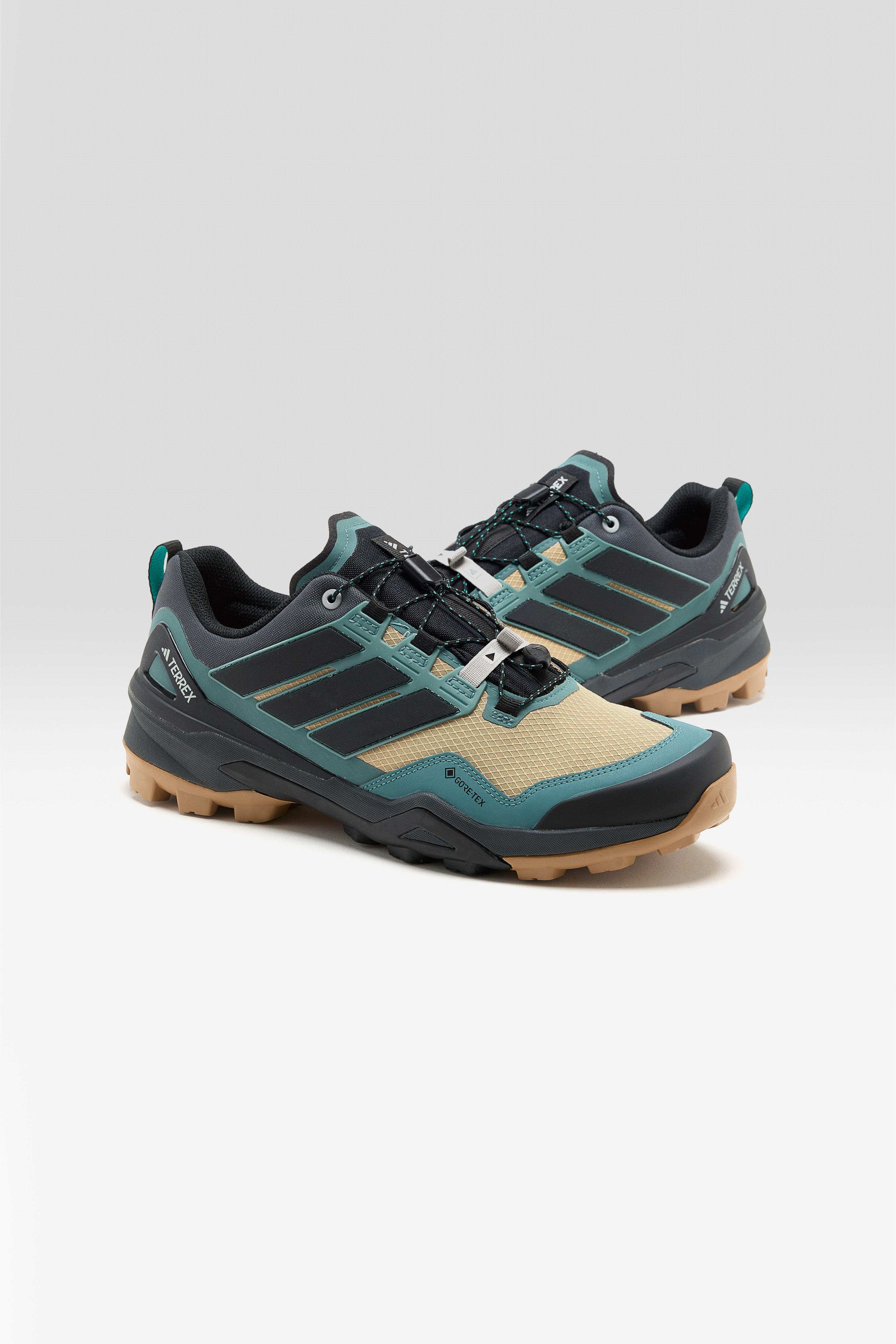 Terrex Skychaser Gore-Tex pour Homme (252 / M / BROWN)