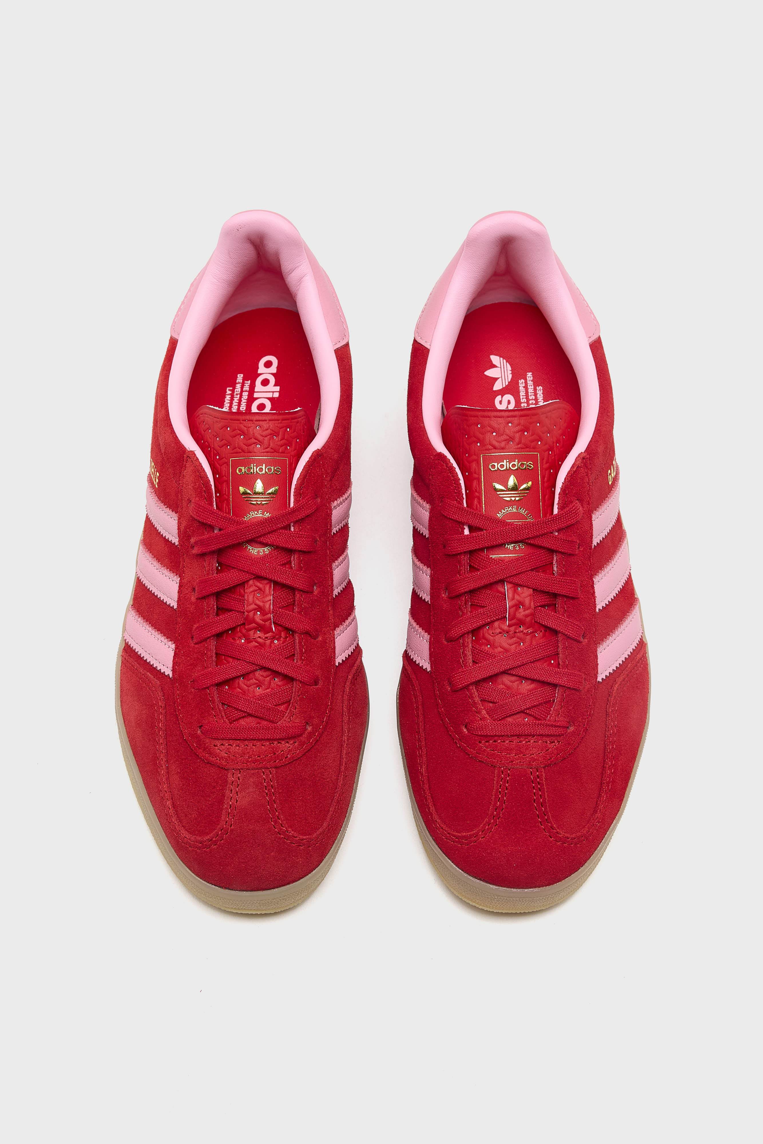 Gazelle Indoor for Women (261 / W / RED)