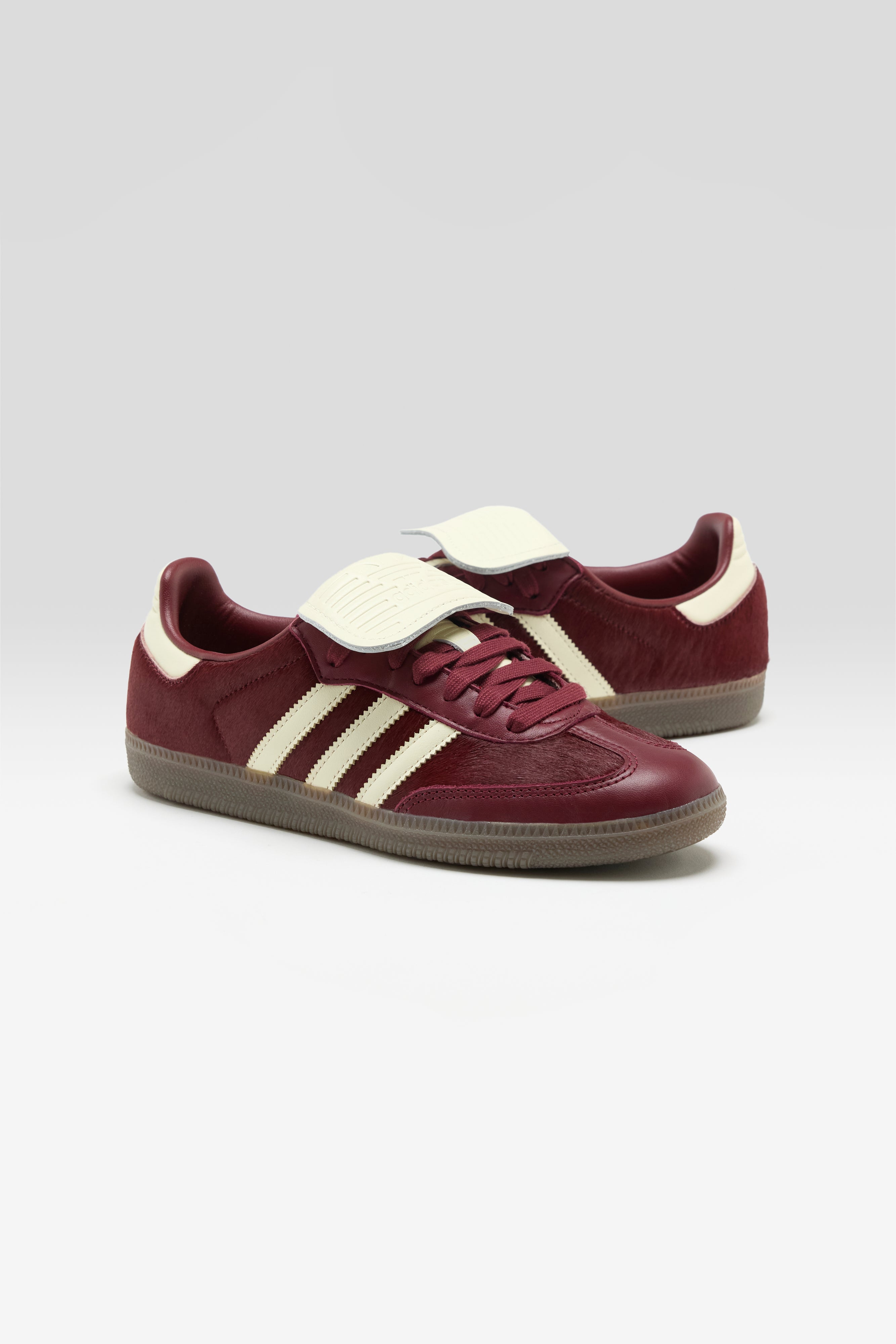 Samba LT for Women (261 / W / BORDEAUX)