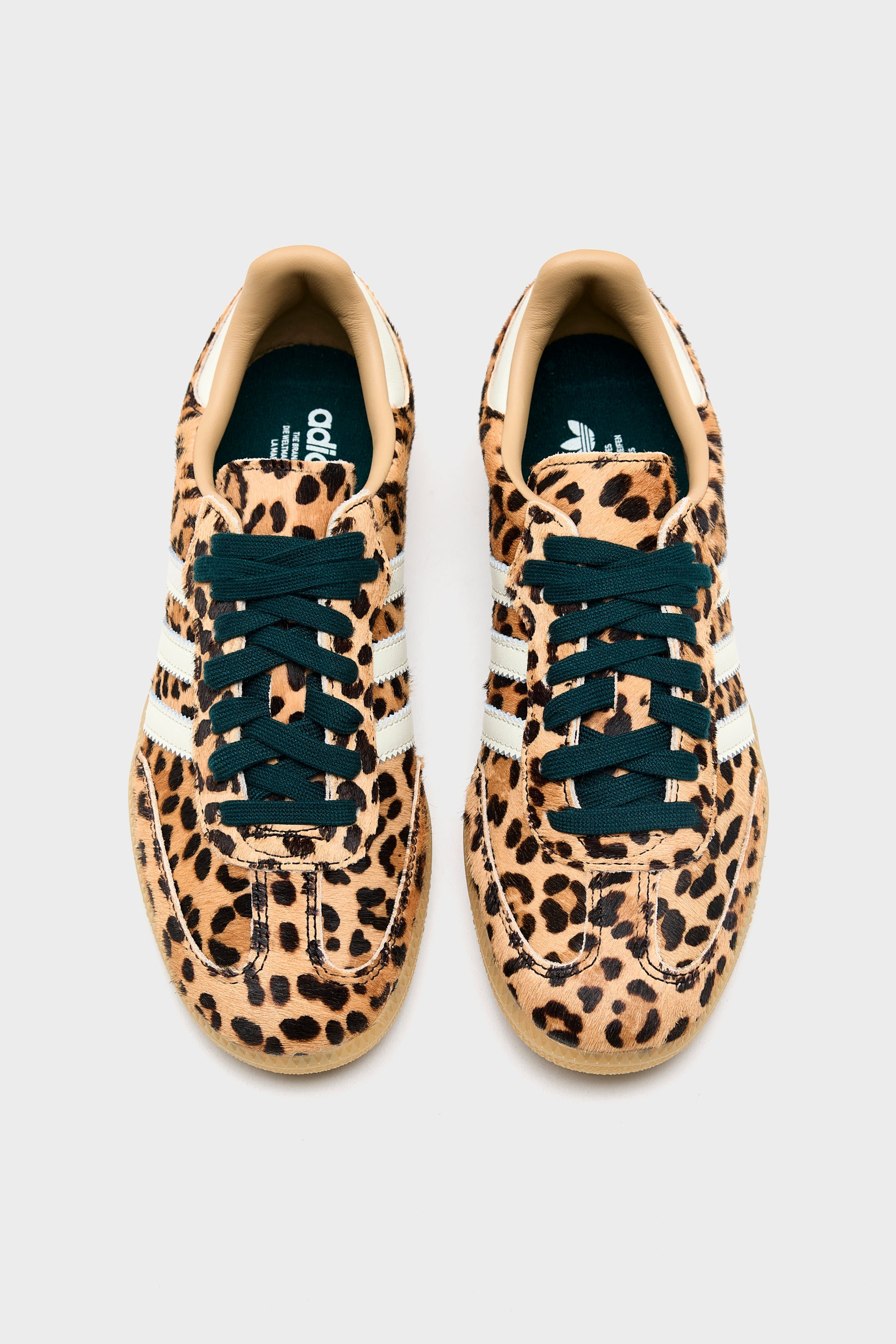 Samba OG for Women (261 / W / BROWN)