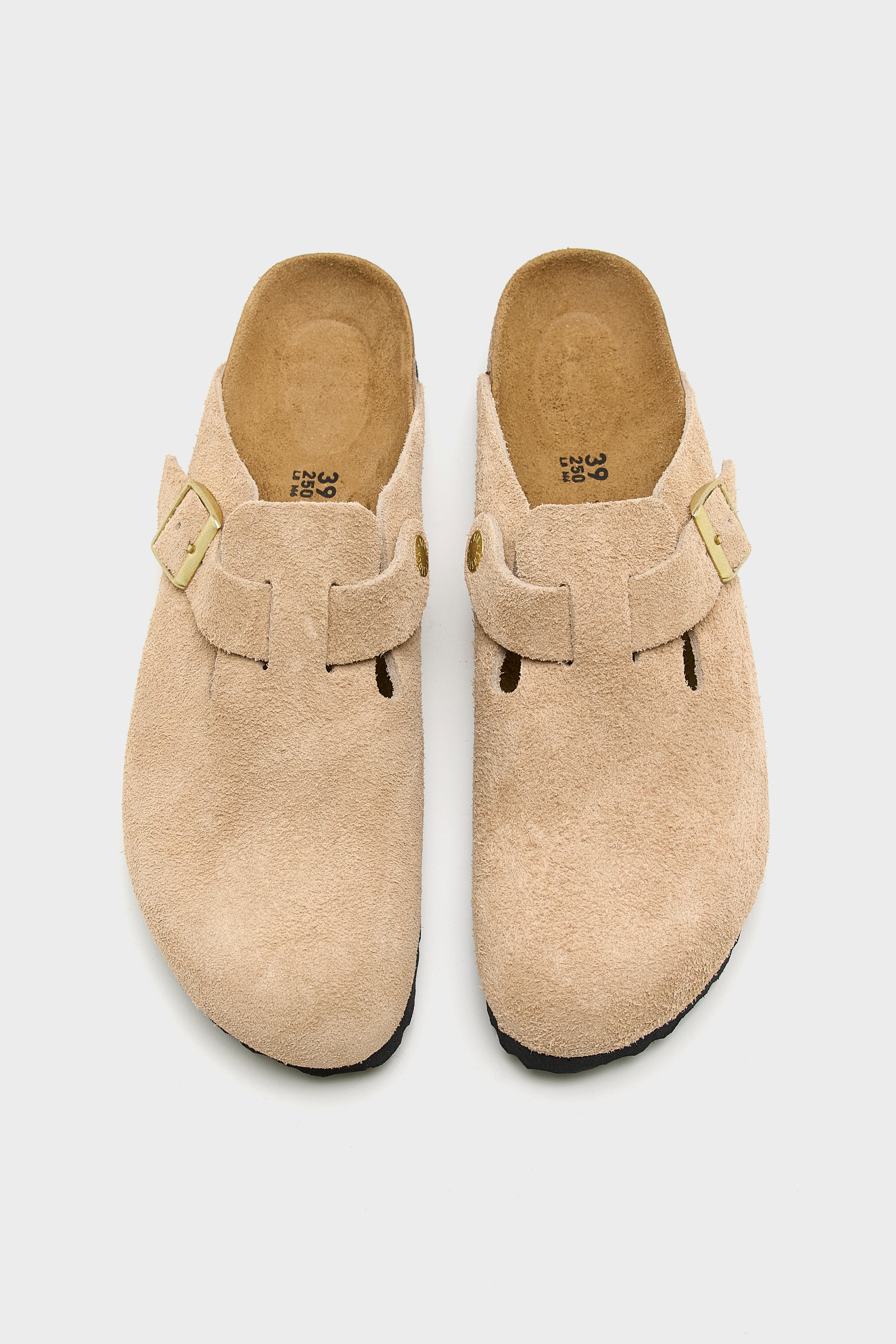 Boston BS Suede for Women (252 / M / BEIGE)
