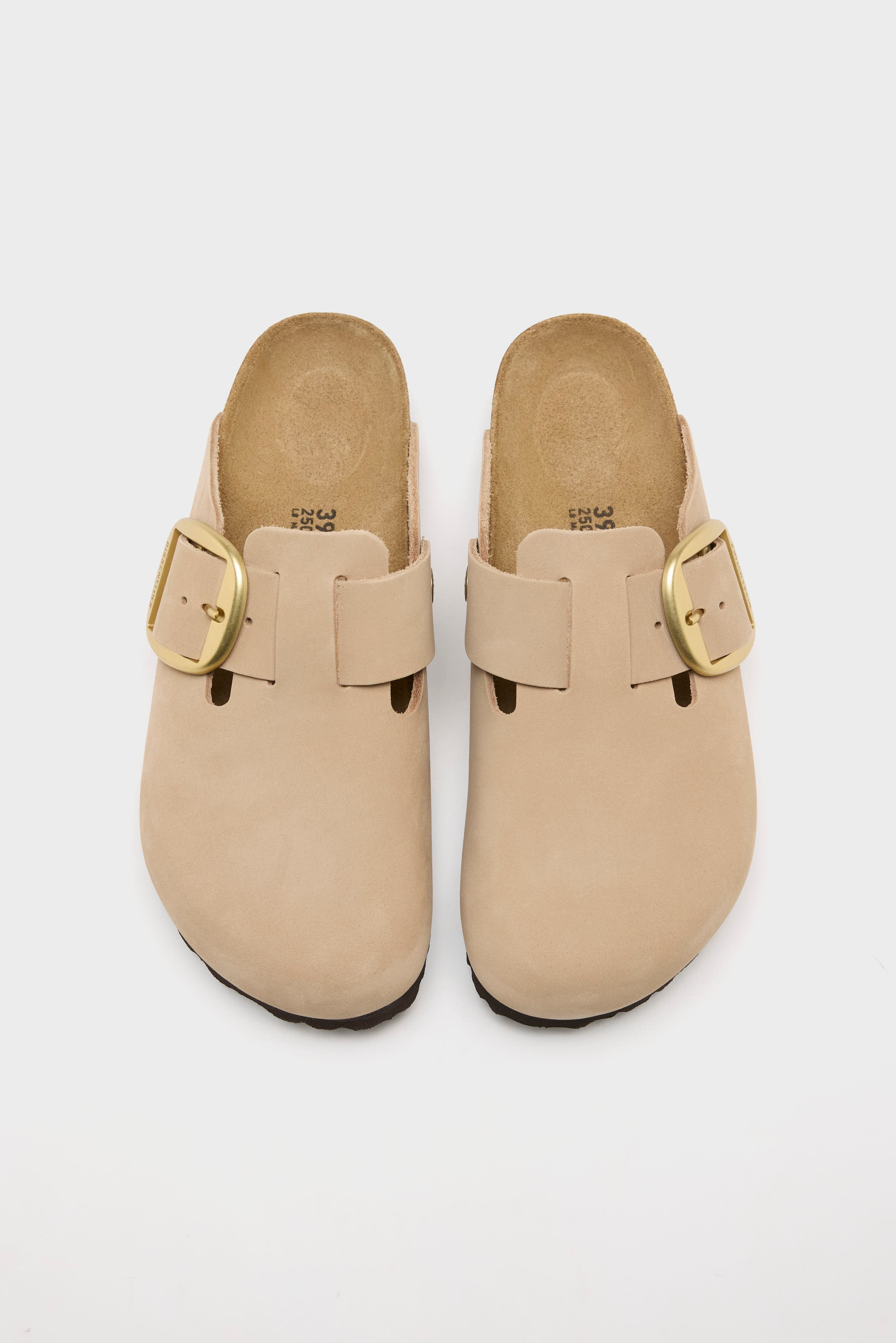 Big Buckle for Women (261 / W / SAND)
