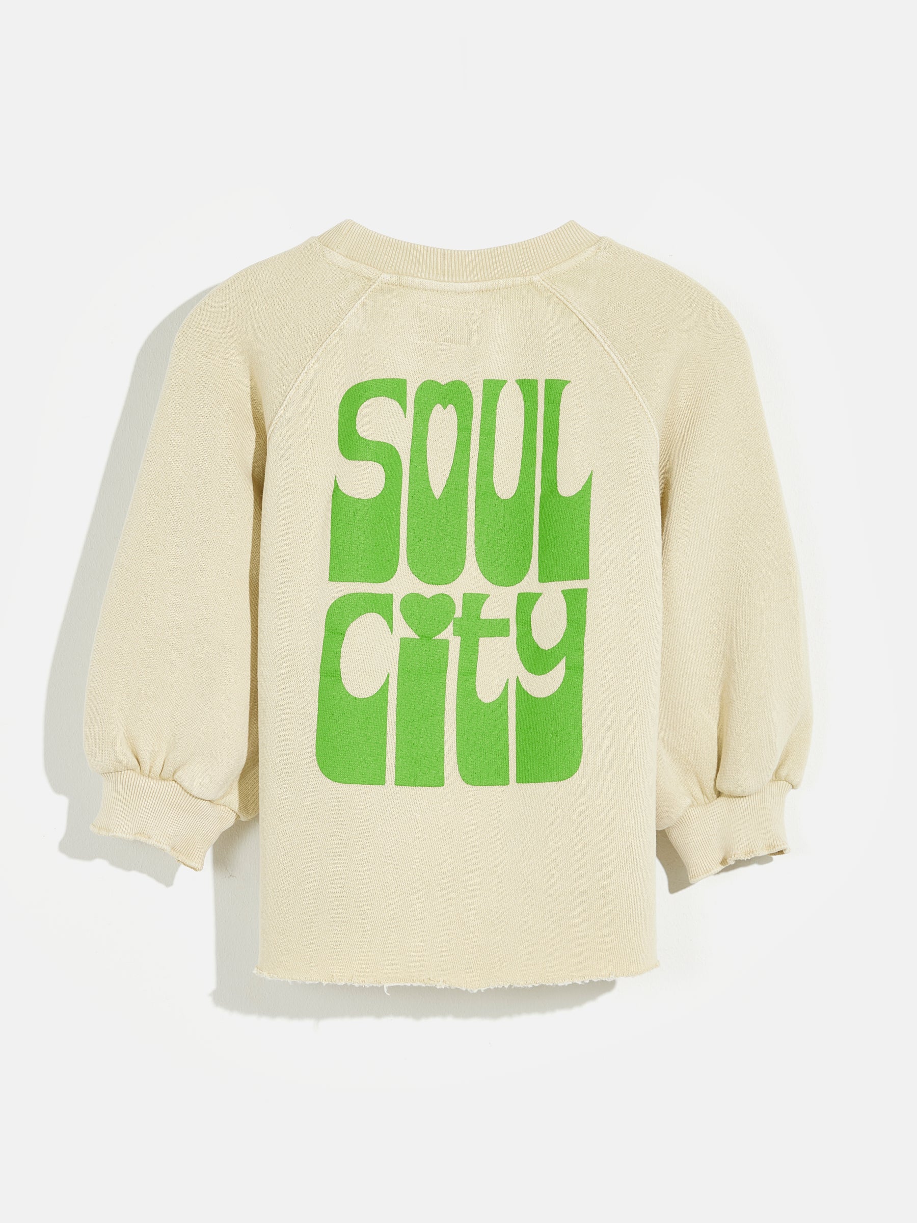 febral sweatshirt (241 / G / SULFUR)