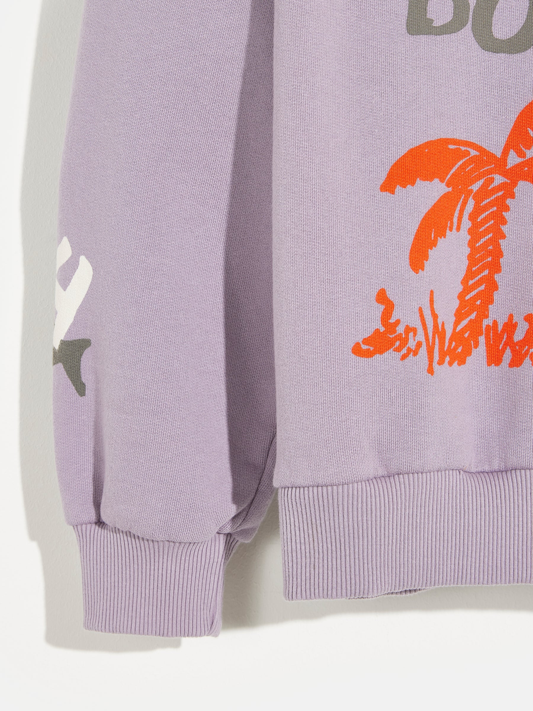 sweatshirt chami (241 / B / ASHES)