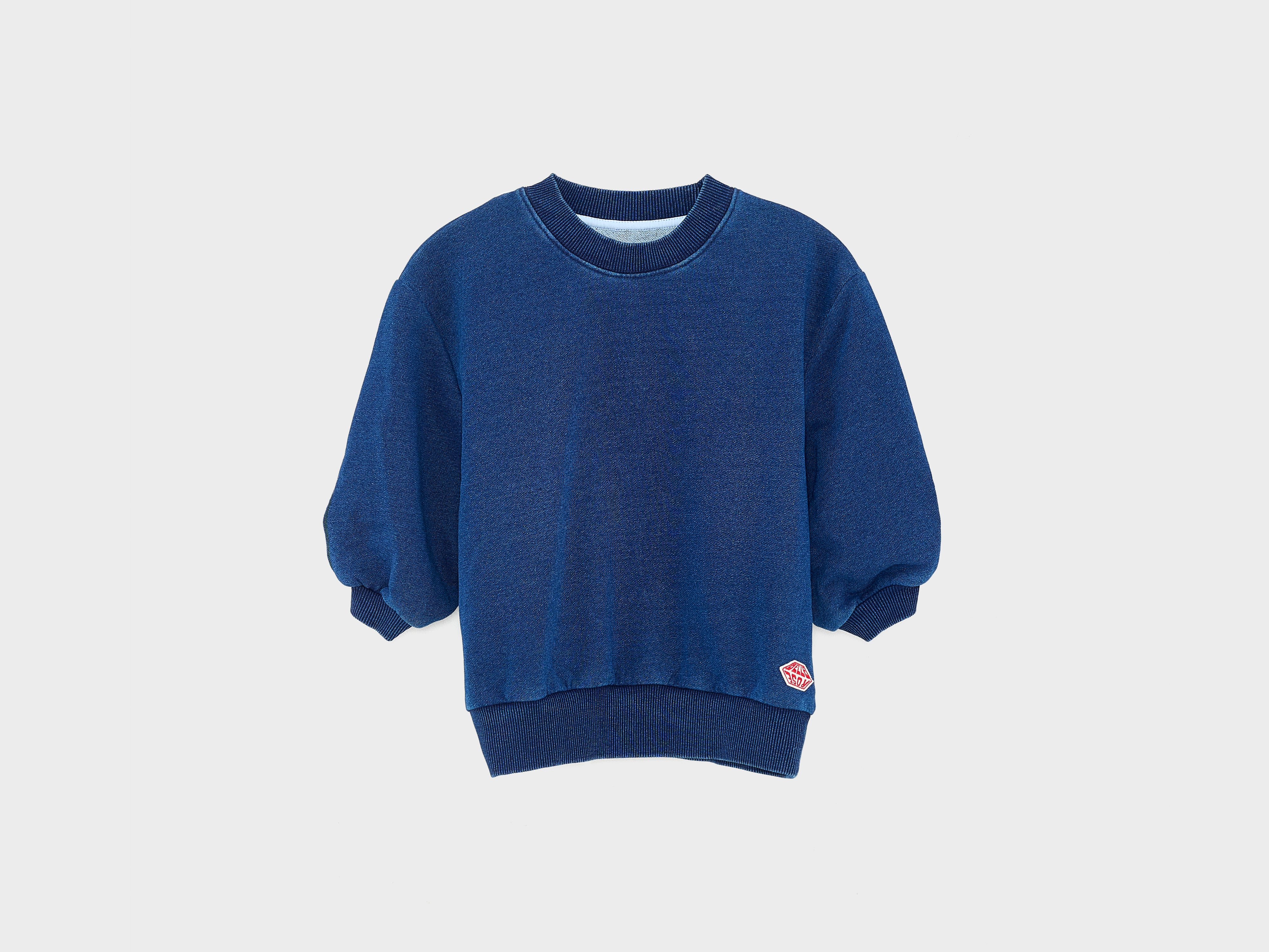 Agov crewneck sweatshirt (251 / G / INDIGO)