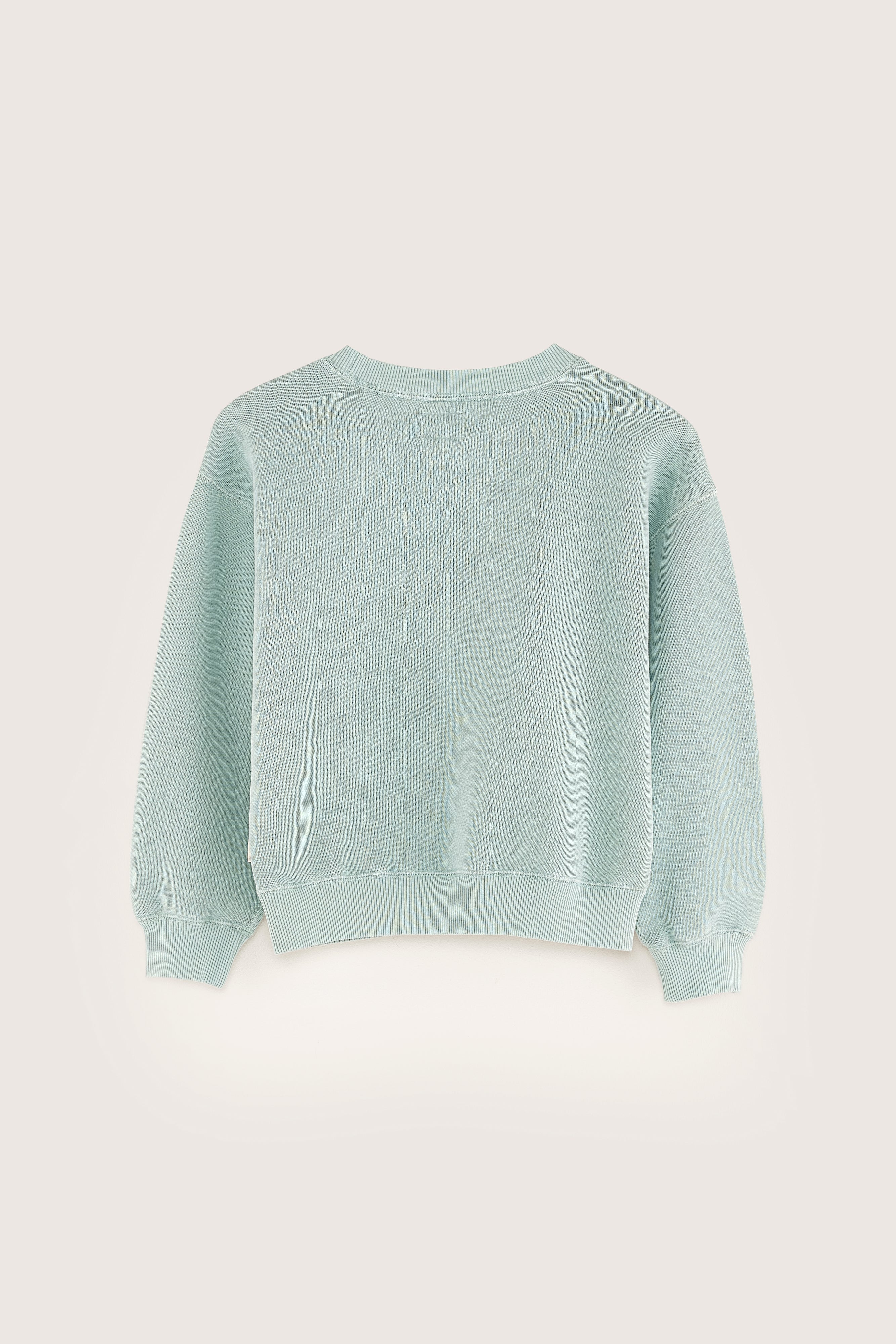 Fadol crewneck sweatshirt (251 / G / REEF WATERS)