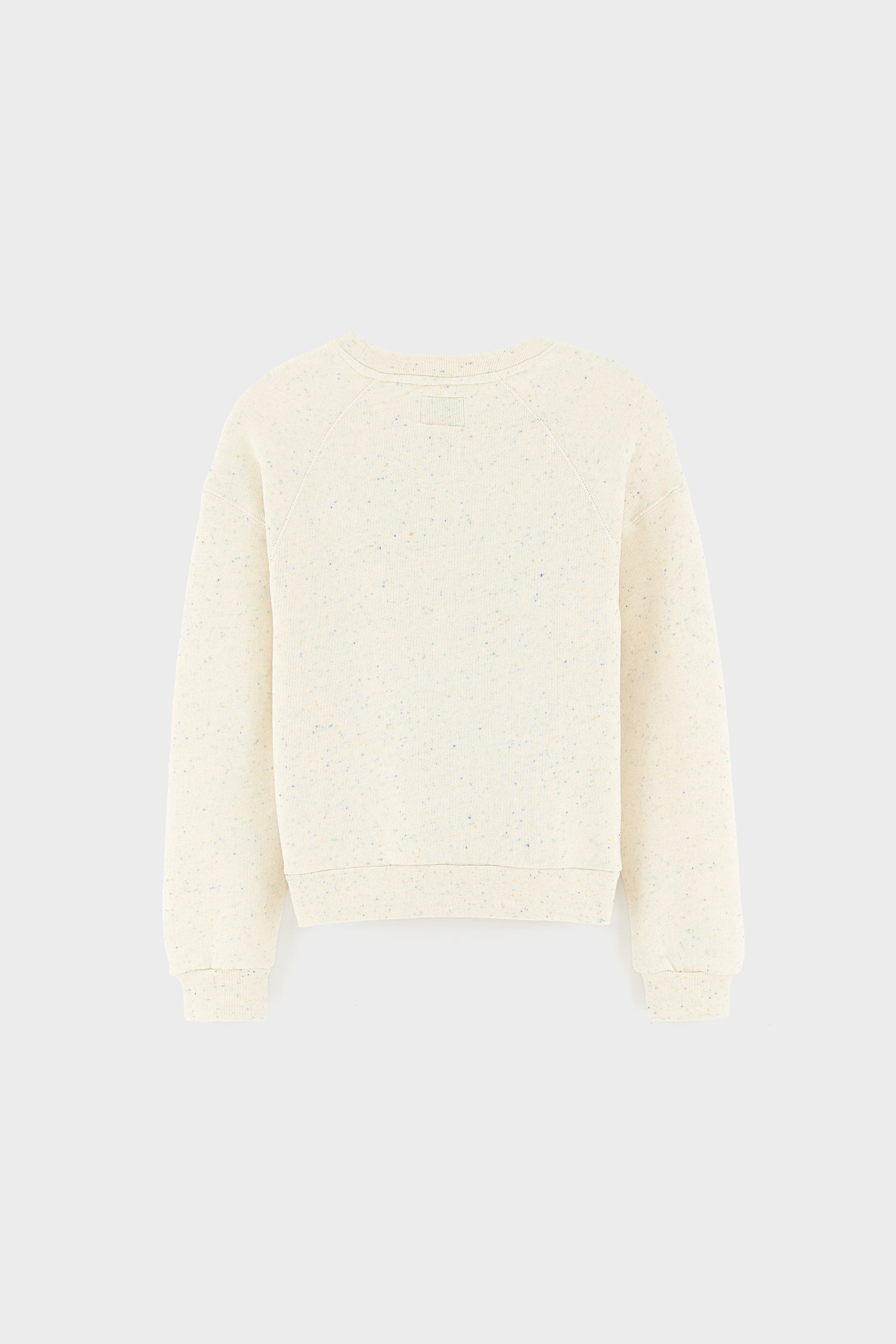 Fanchi crewneck sweatshirt (261 / G / COMBO A)