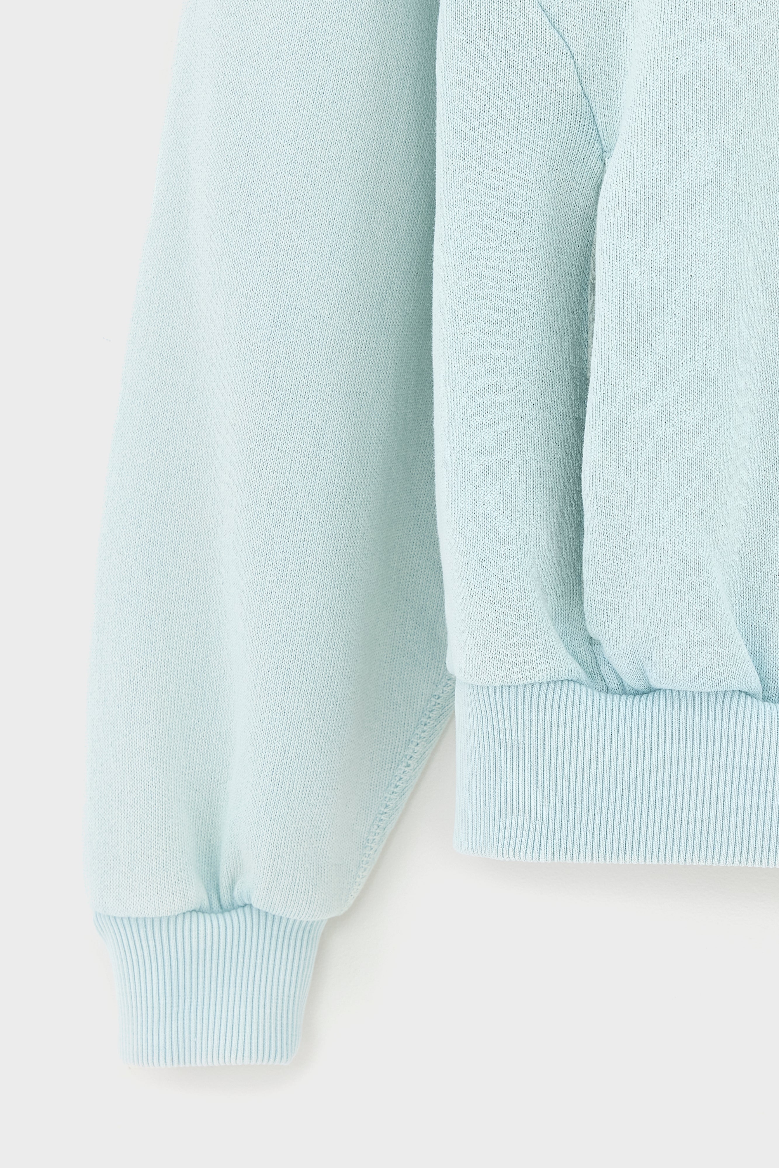 Fadopo relaxed sweatshirt (261 / G / PALE BLUE)