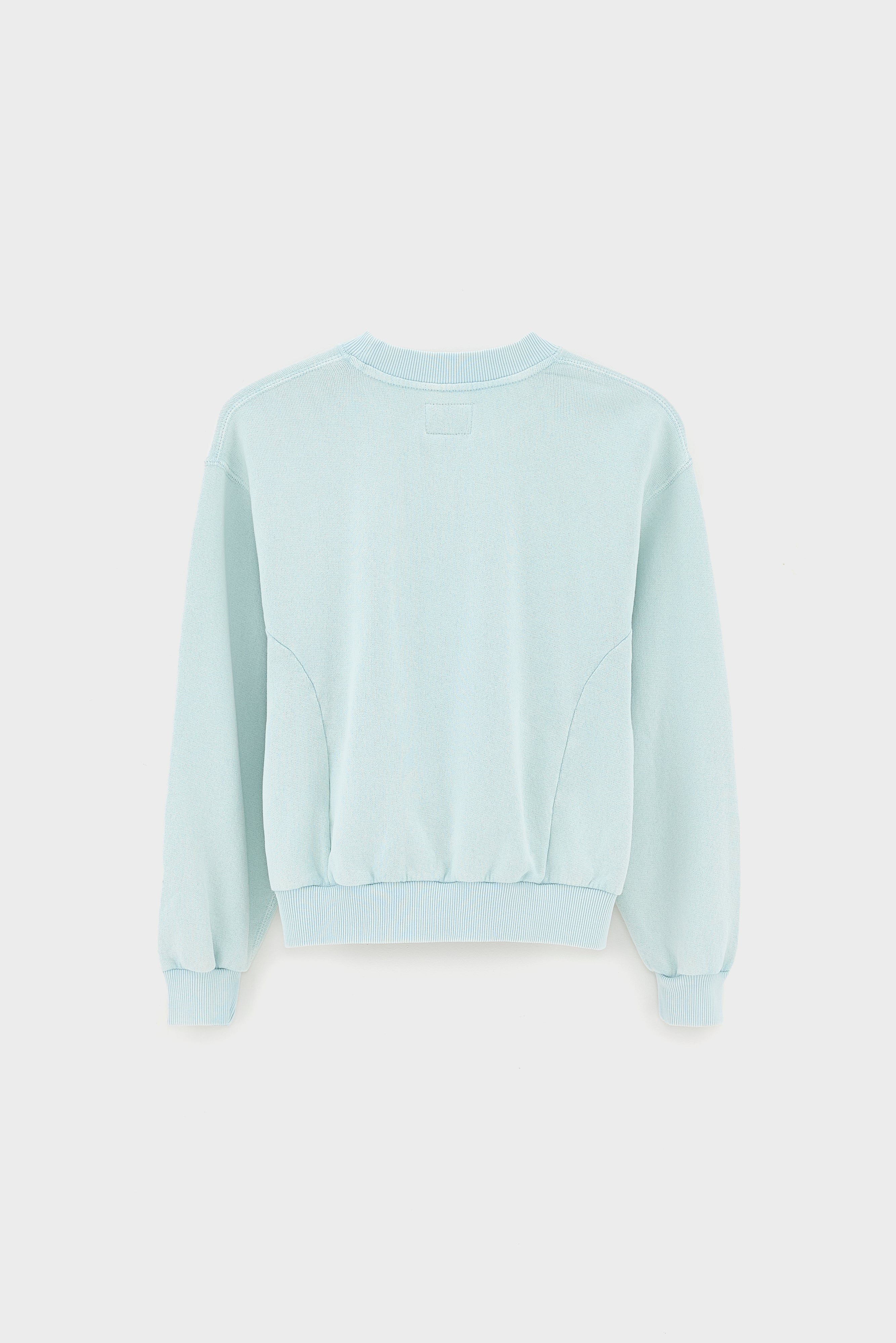 Fadopo relaxed sweatshirt (261 / G / PALE BLUE)
