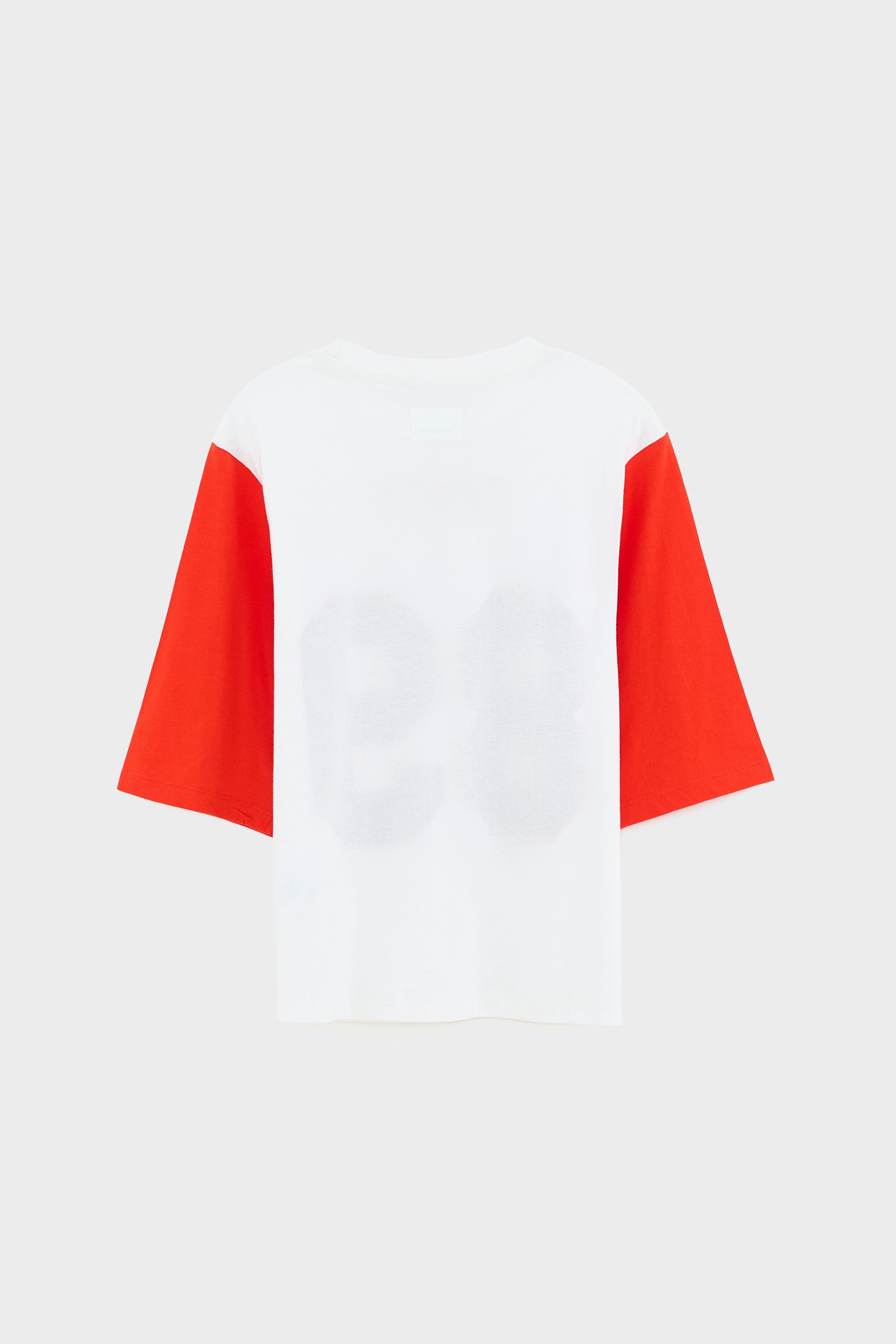 Asha boyfriend t-shirt (261 / G / VINTAGE WHITE)