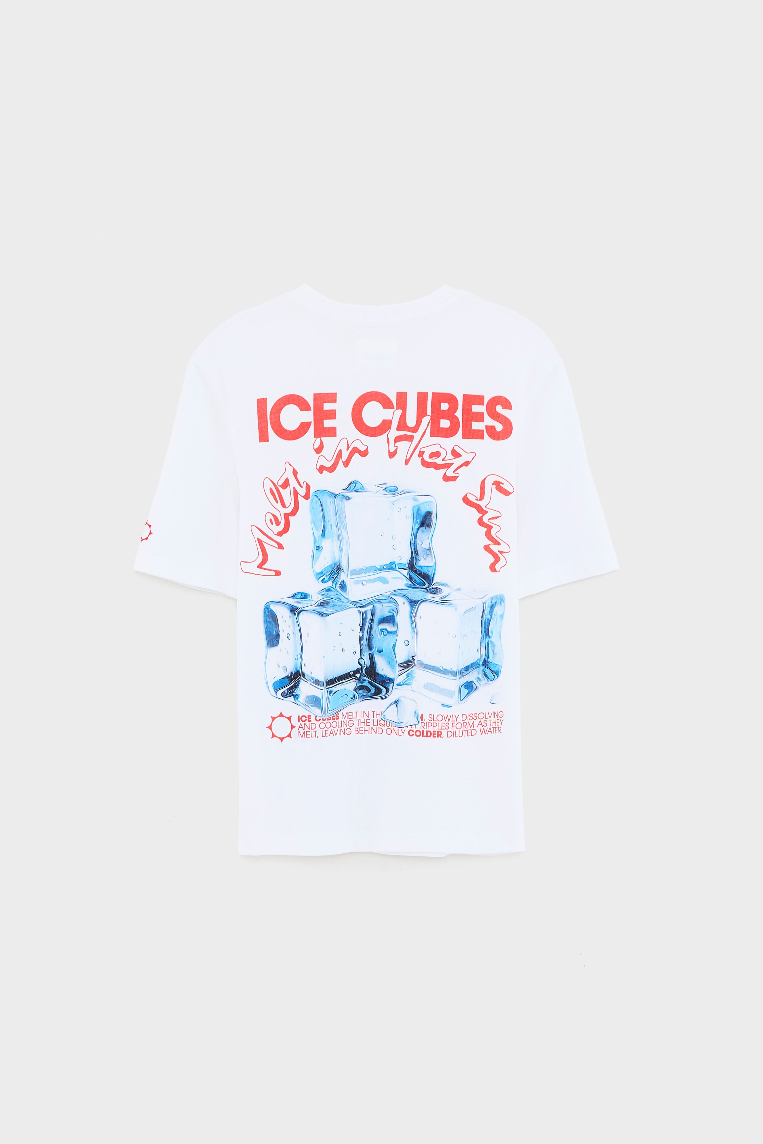 Kenny short-sleeve t-shirt (261 / B / WHITE)