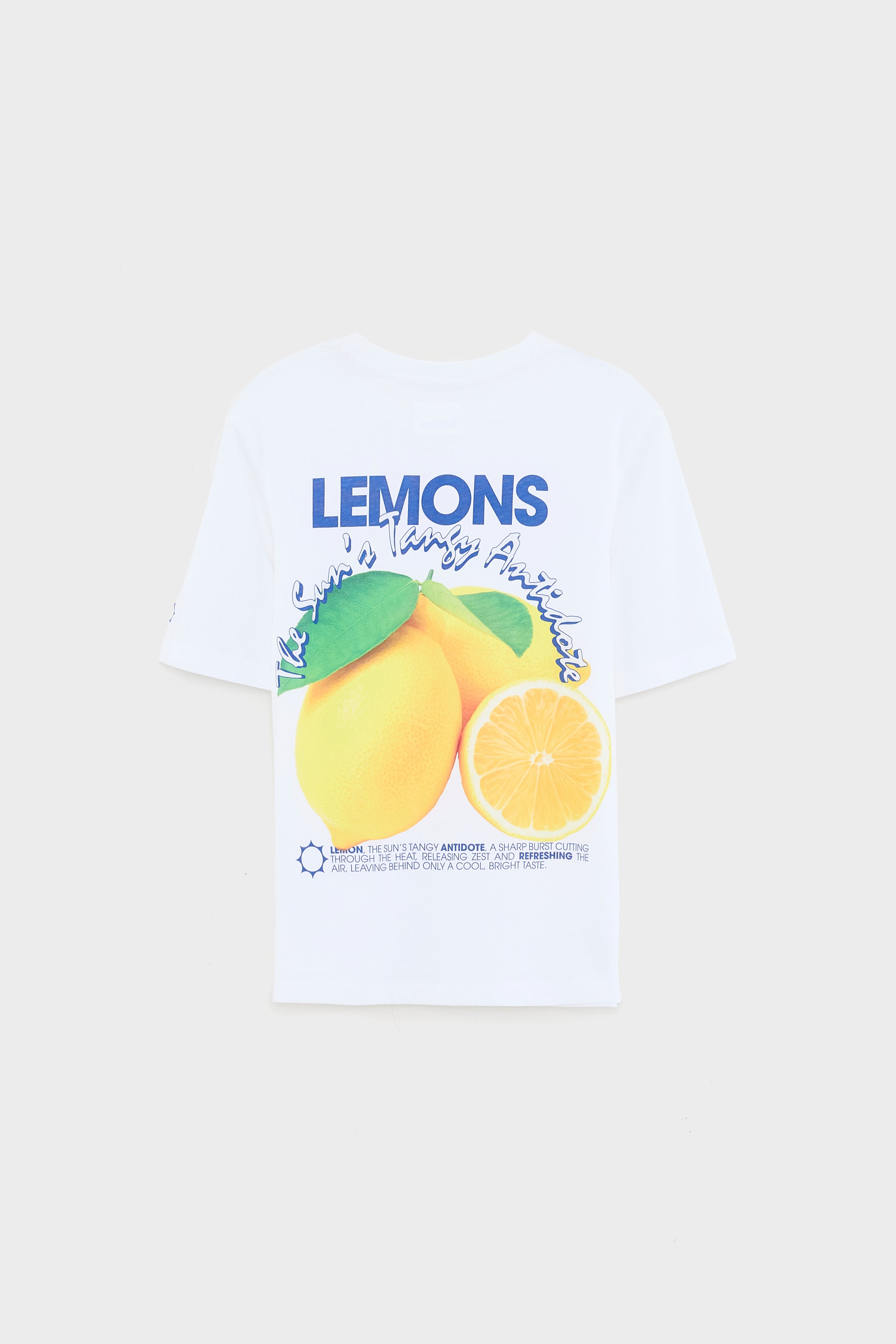 Kenny short-sleeve t-shirt (261 / B / WHITE)