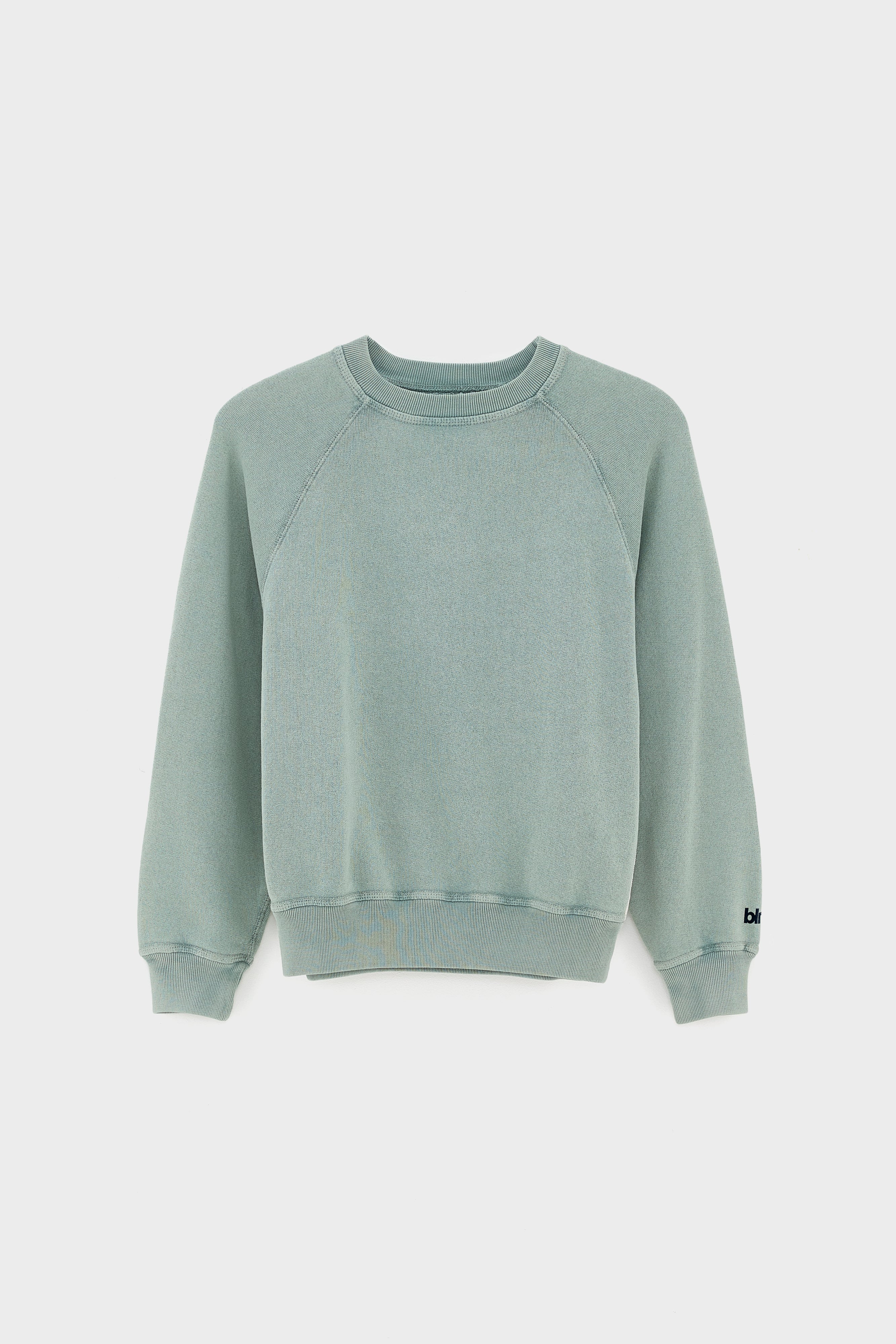 Fagolo crewneck sweatshirt (261 / B / LIMESTONE)