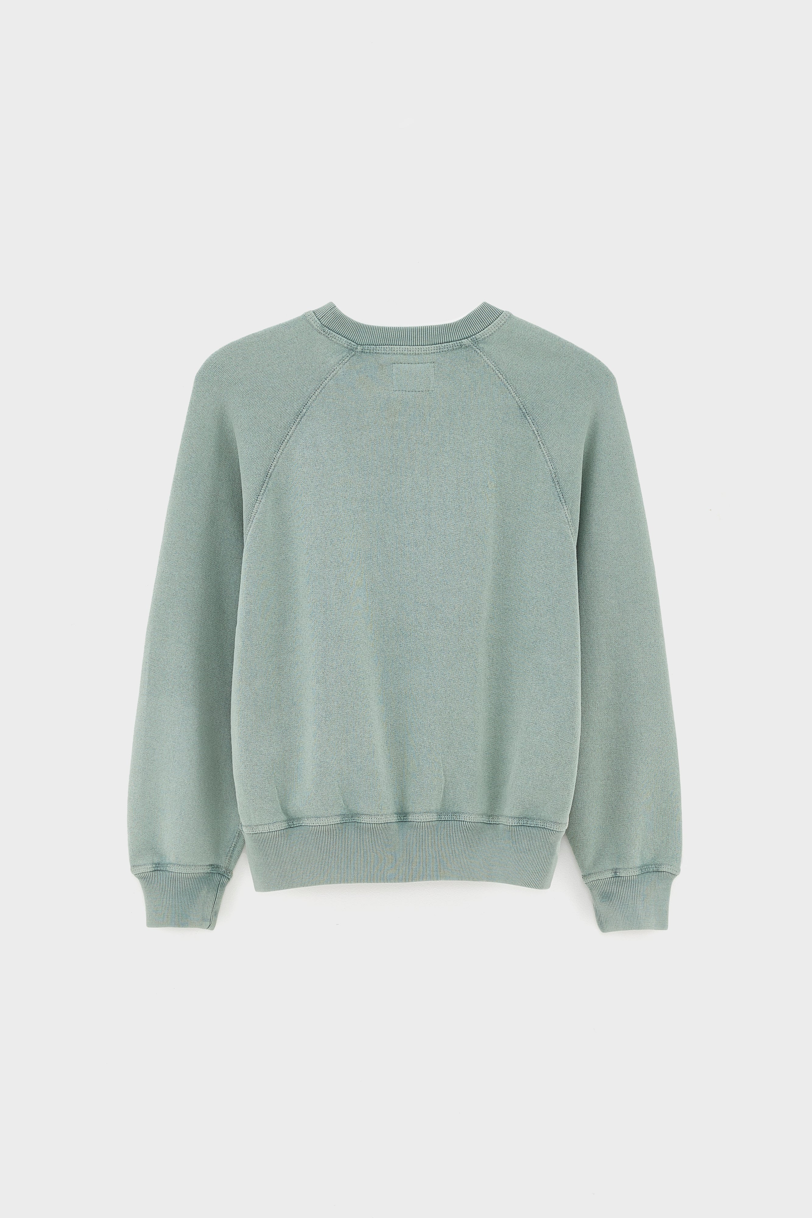 Fagolo crewneck sweatshirt (261 / B / LIMESTONE)