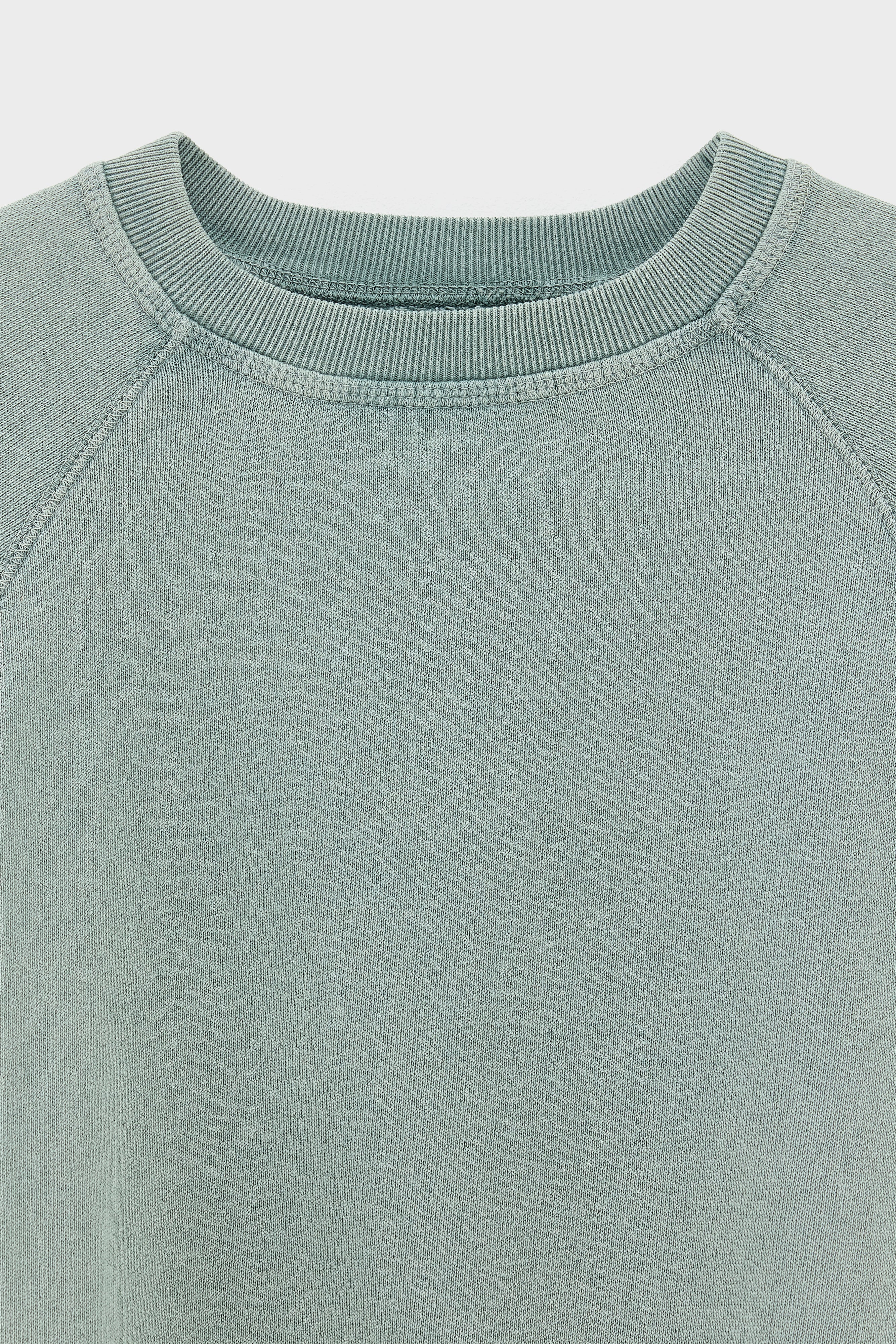 Fagolo crewneck sweatshirt (261 / B / LIMESTONE)