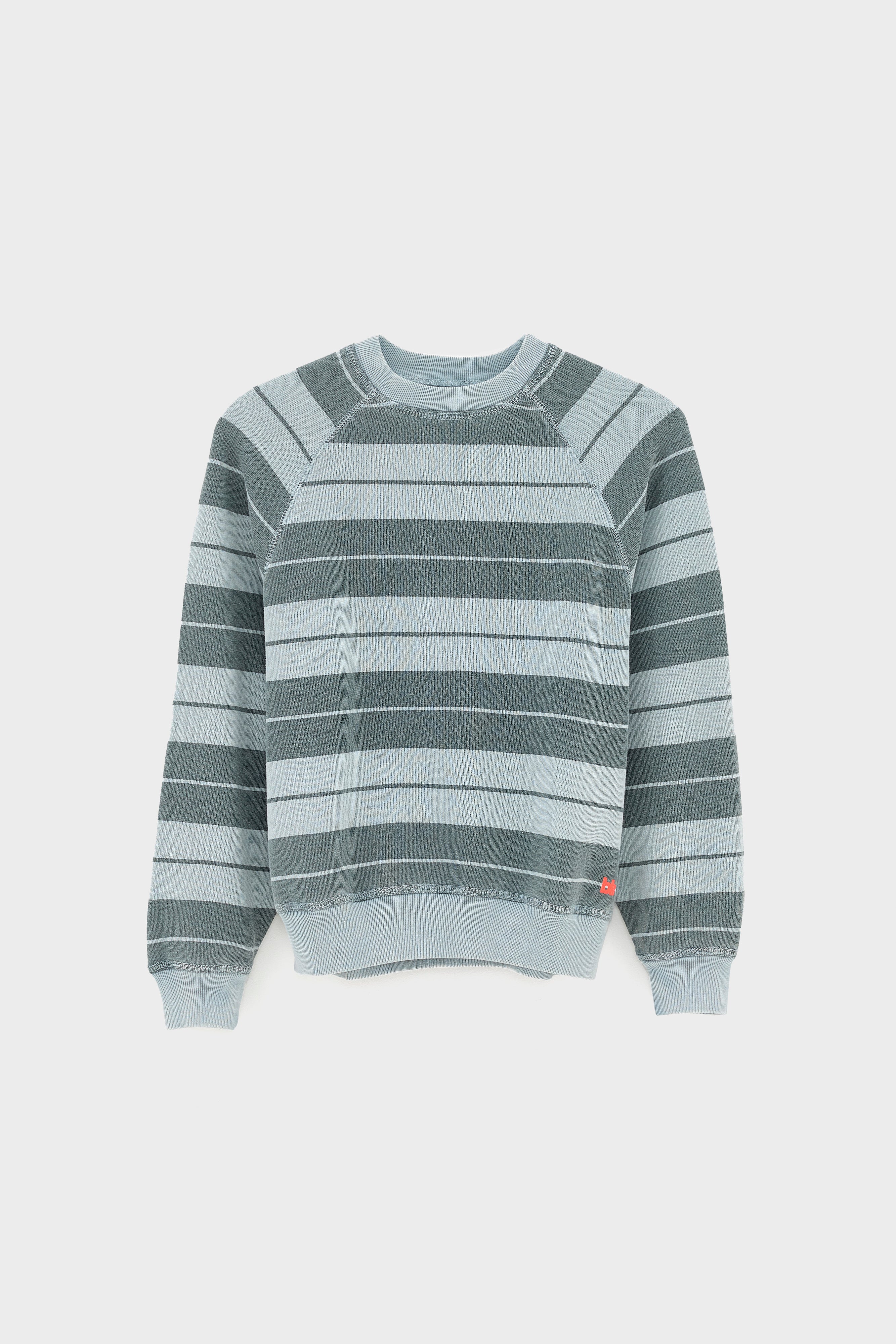 Fagolo crewneck sweatshirt (261 / B / STRIPE B)