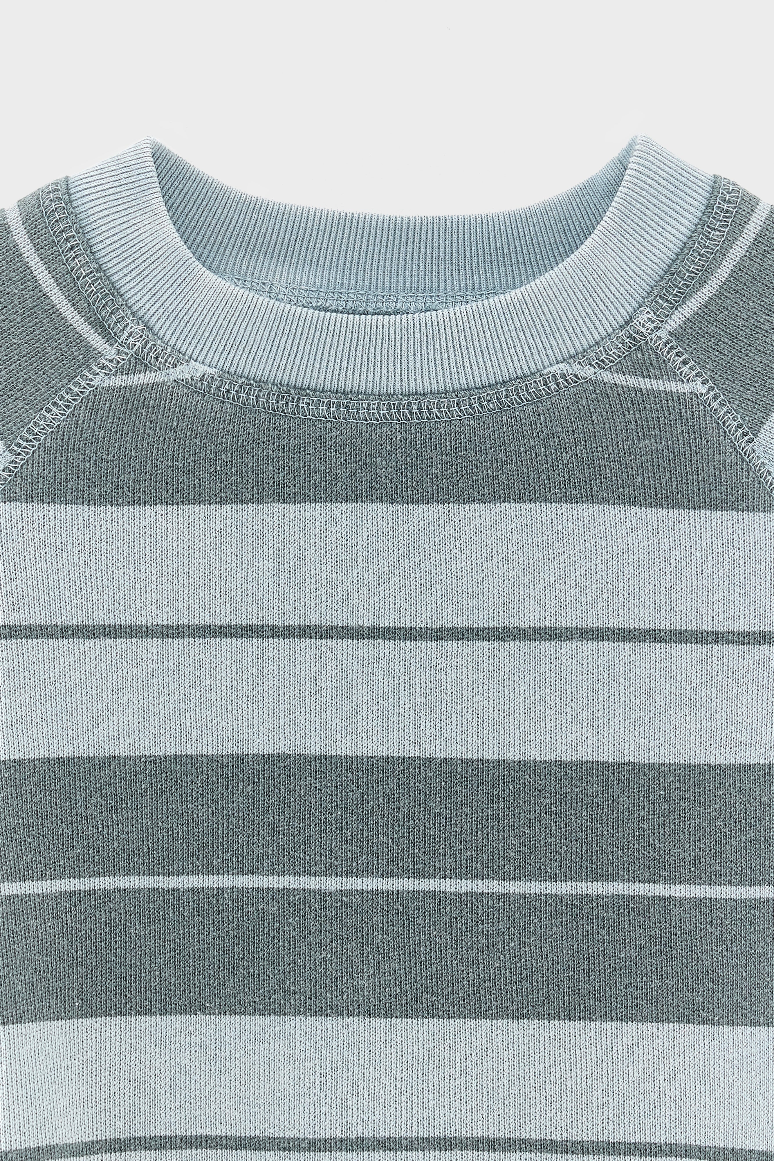 Fagolo crewneck sweatshirt (261 / B / STRIPE B)