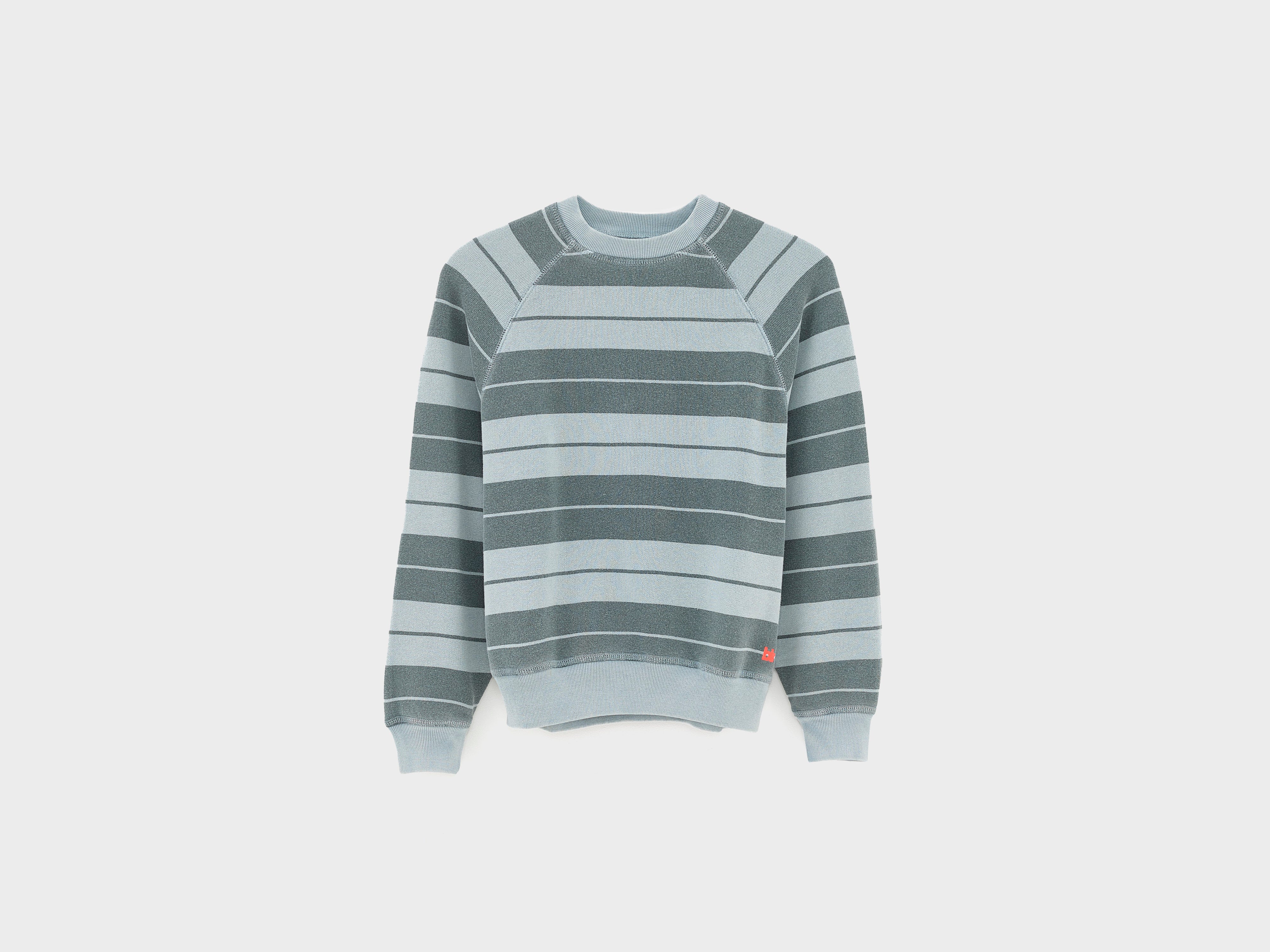 Fagolo crewneck sweatshirt (261 / B / STRIPE B)