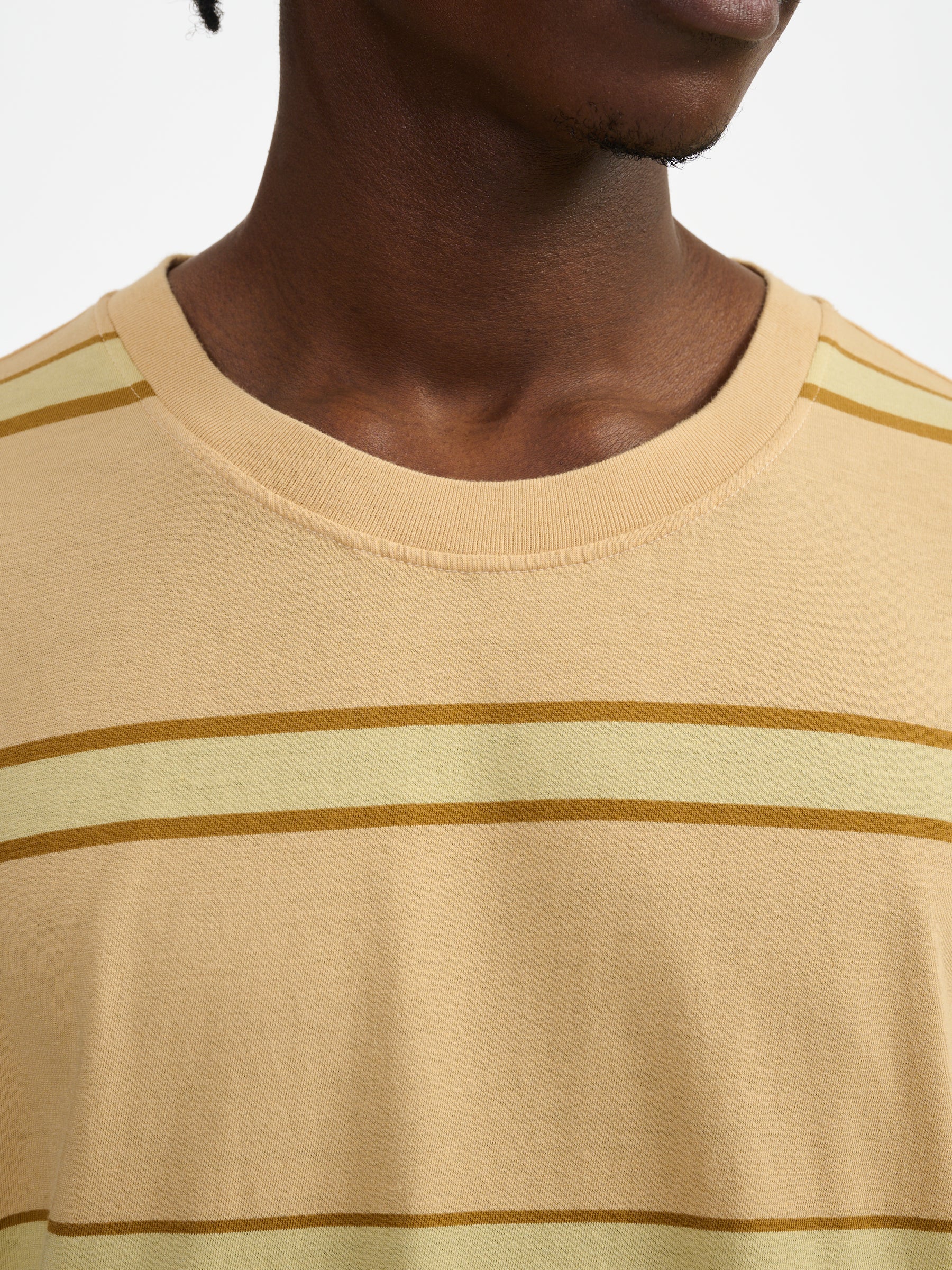 vanice t-shirt (241 / M / STRIPE A)