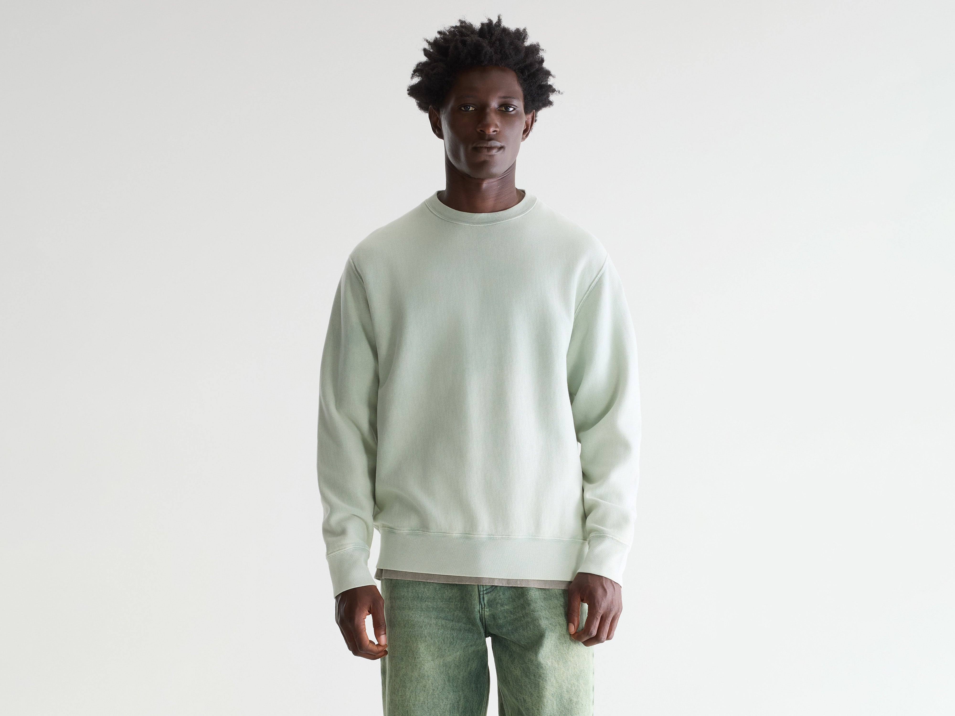Flake crewneck sweatshirt (261 / M / AQUA)