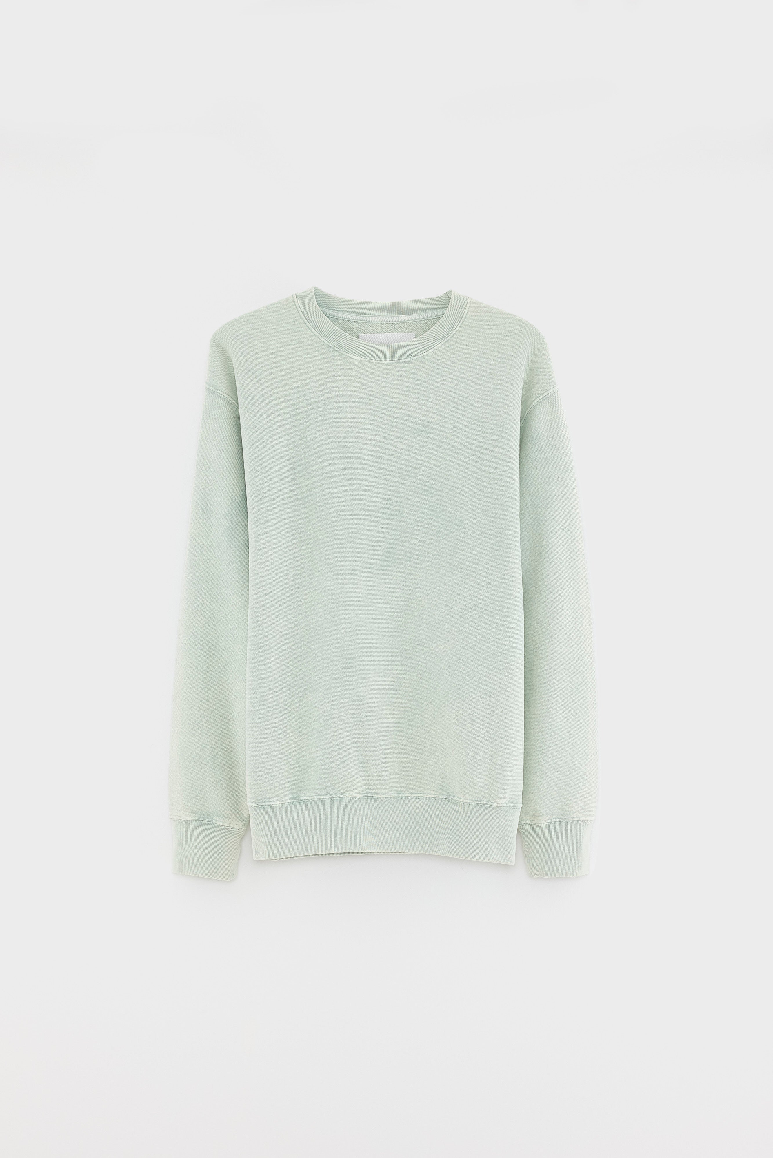 Flake crewneck sweatshirt (261 / M / AQUA)