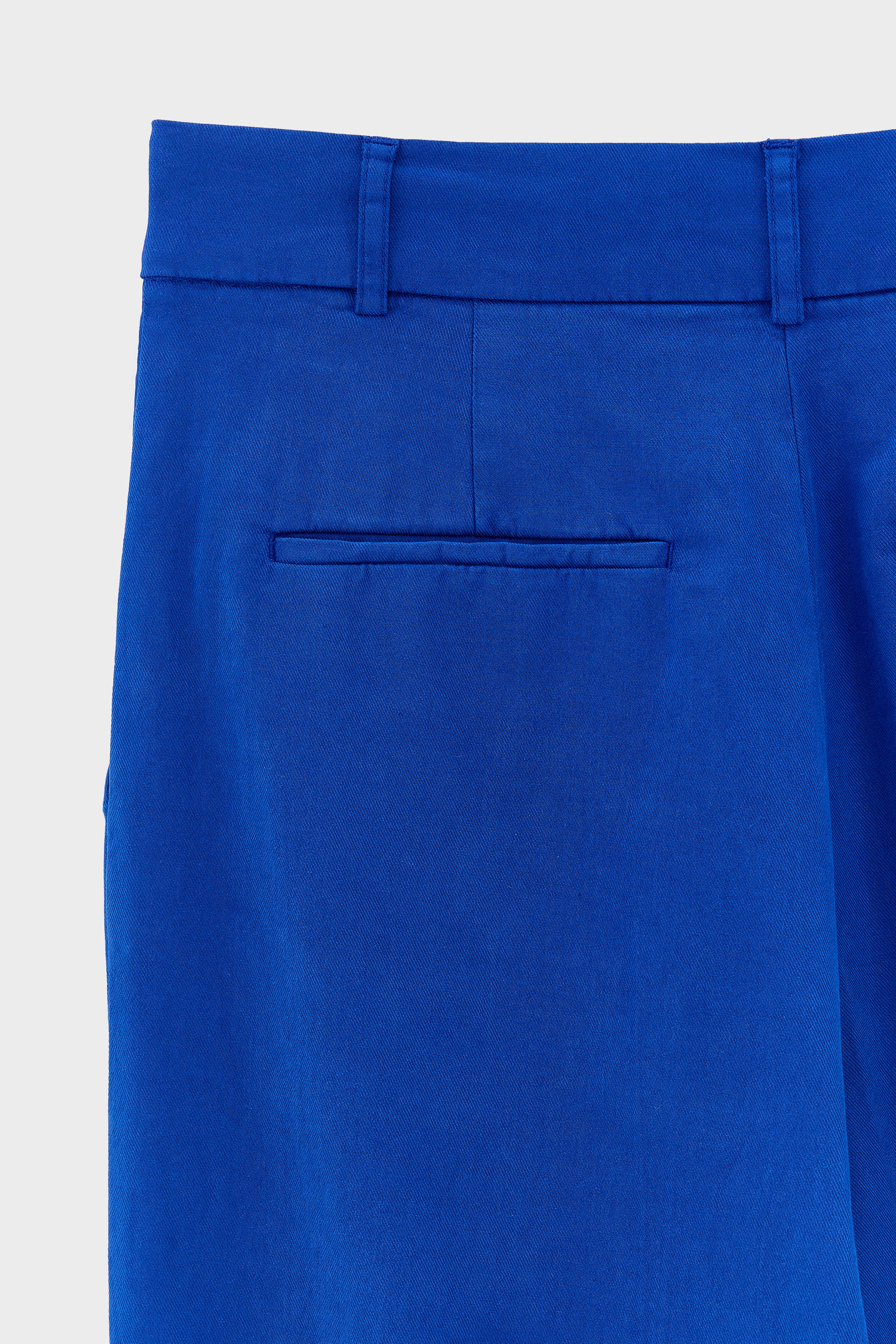 Viktor rechte broek (251 / W / BLUEWORKER)