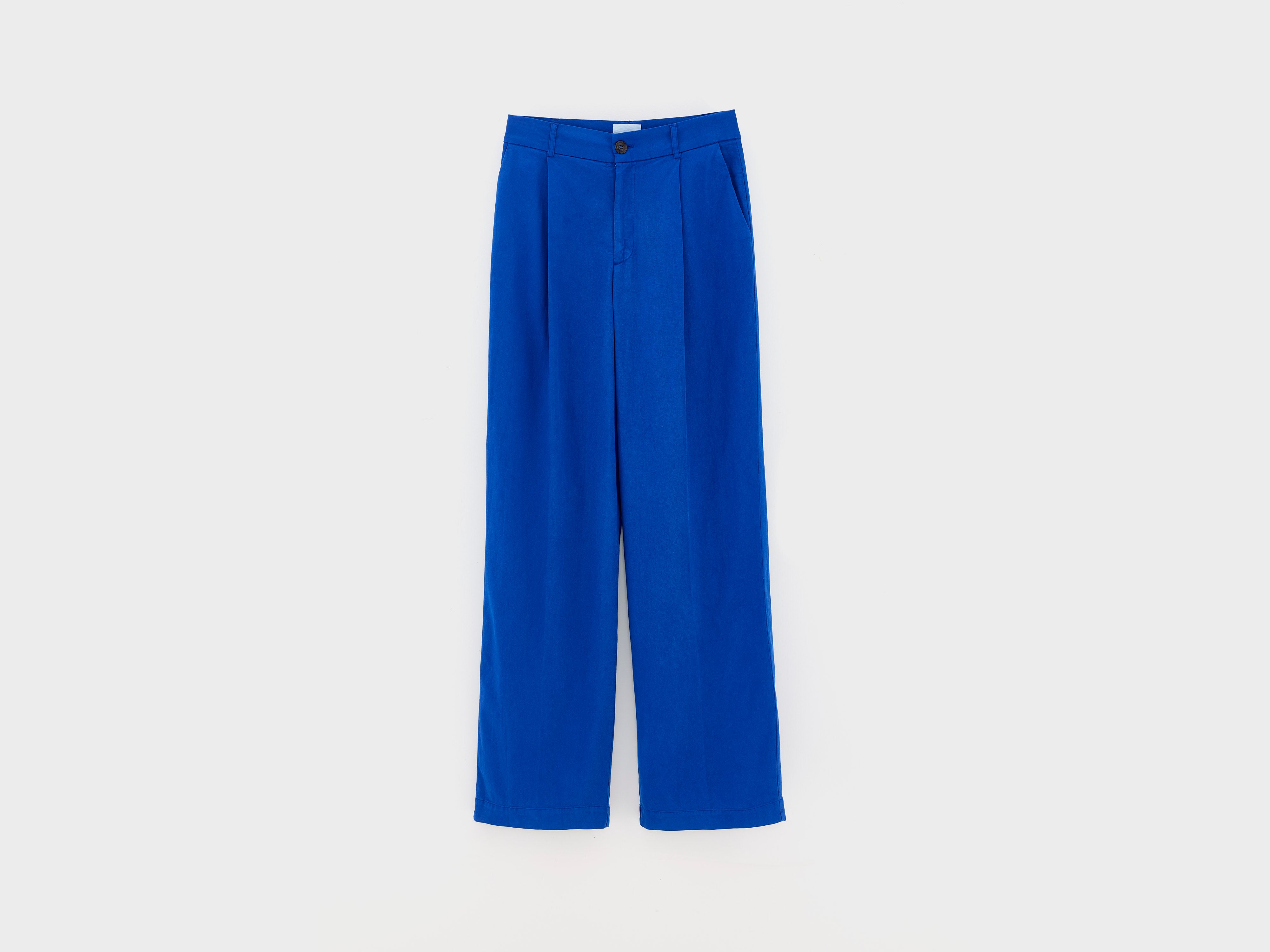 Viktor rechte broek (251 / W / BLUEWORKER)