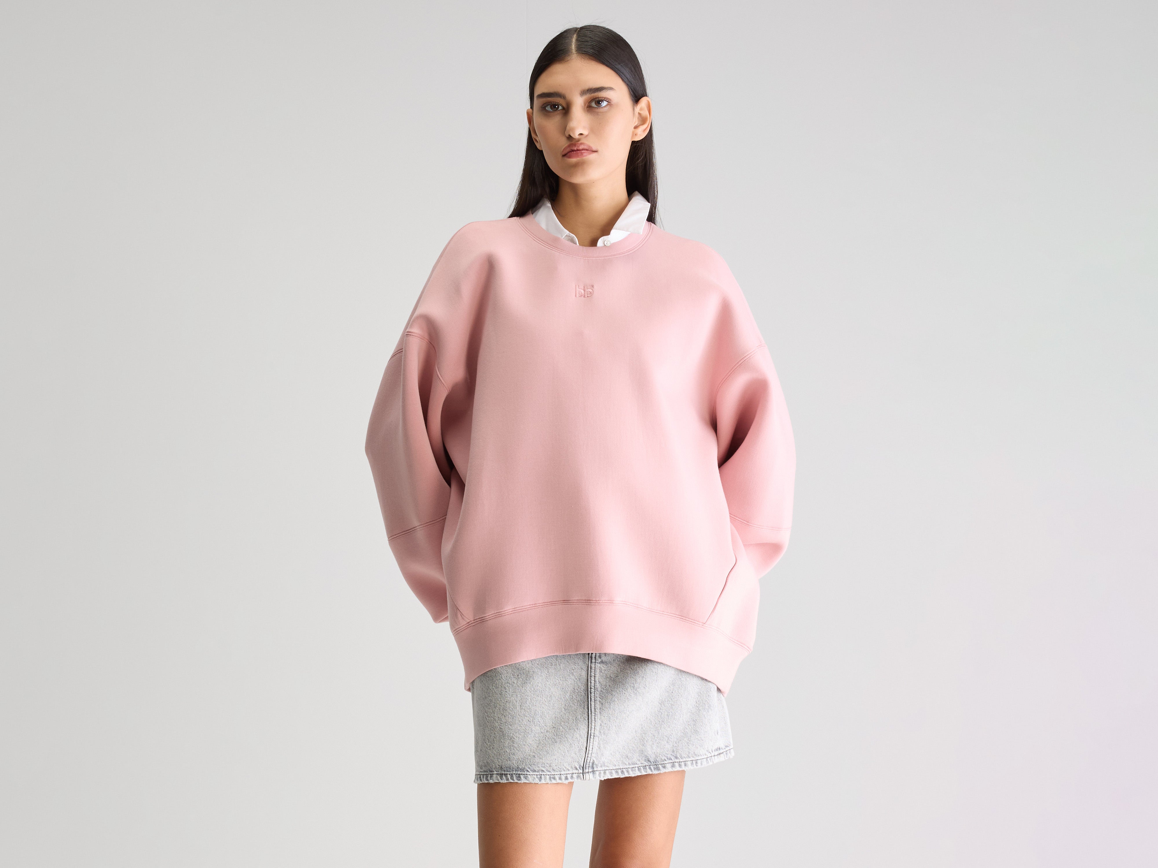 Trig crewneck sweatshirt (251 / W / CHEEKS)