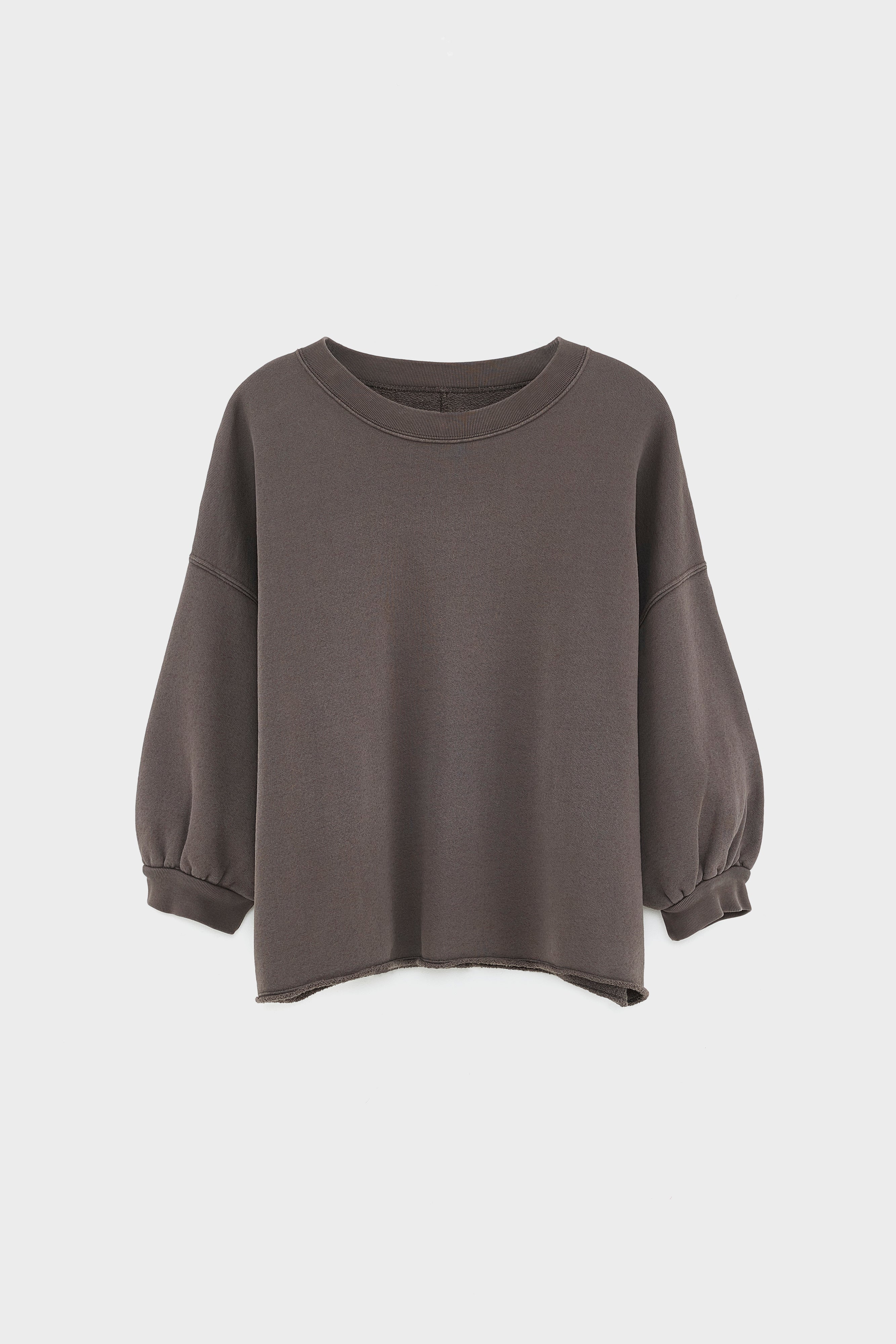 Vicske crewneck sweatshirt (252 / W / DARK ROAST)