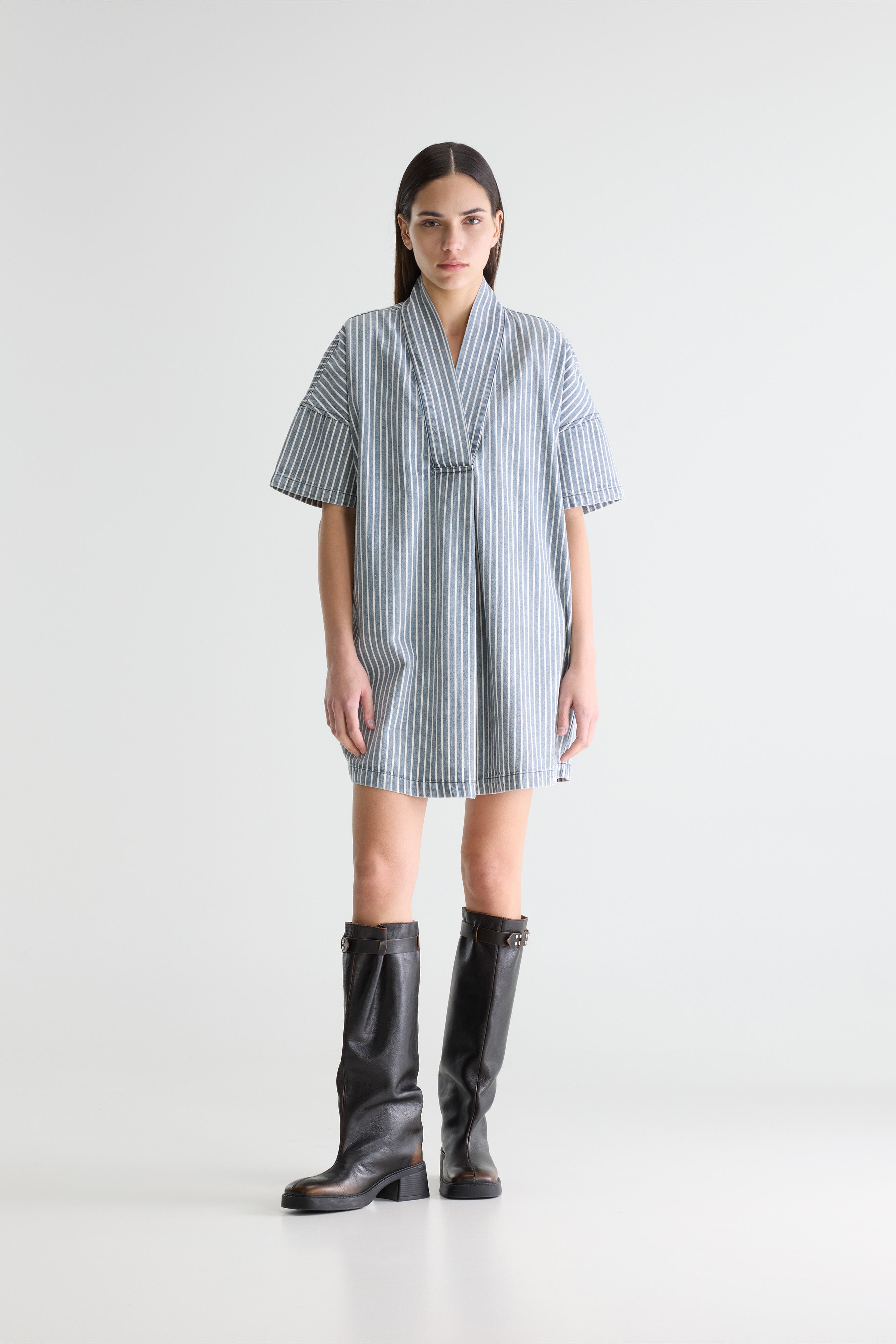 Pax denim dress (261 / W / STRIPE A)