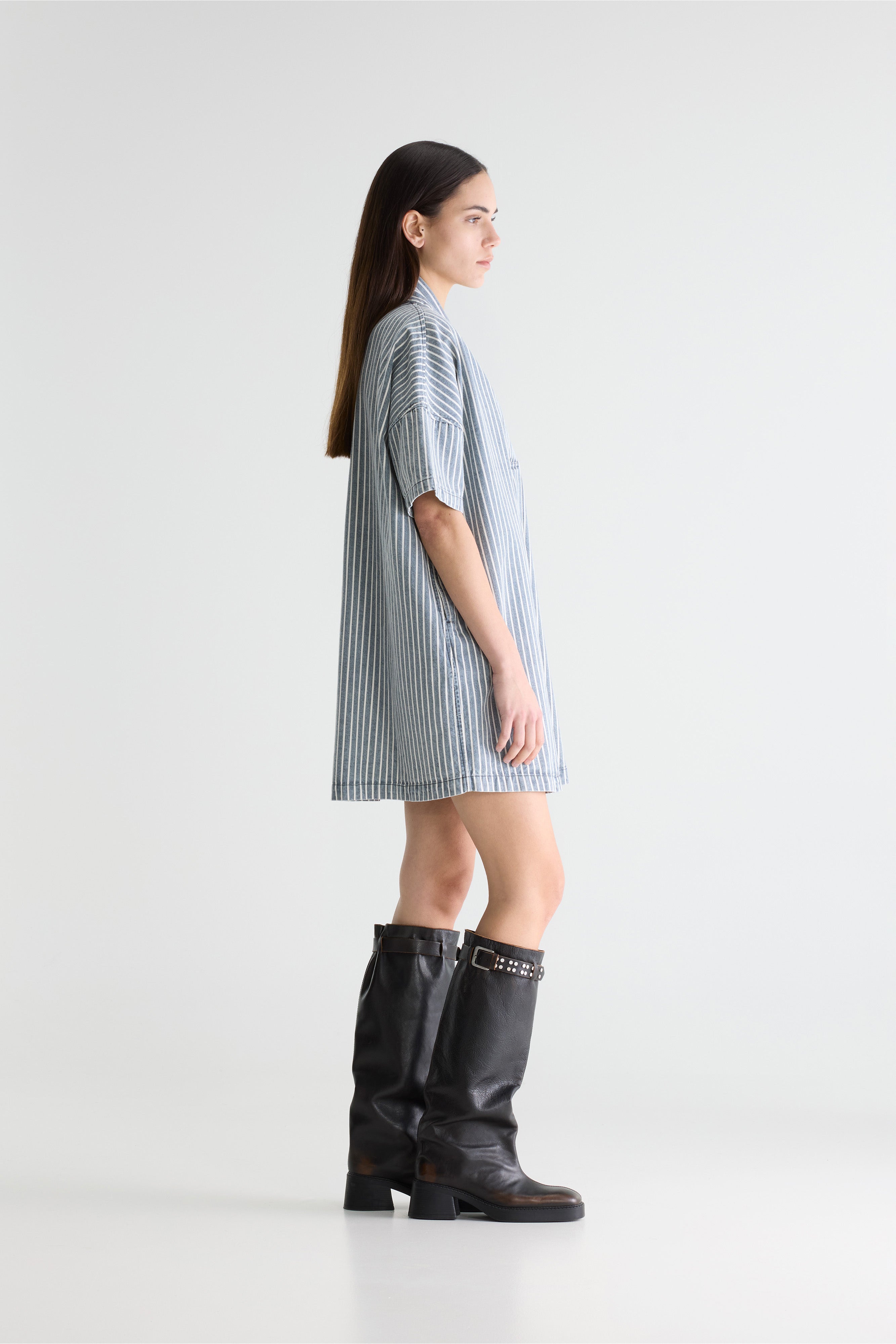 Pax denim dress (261 / W / STRIPE A)