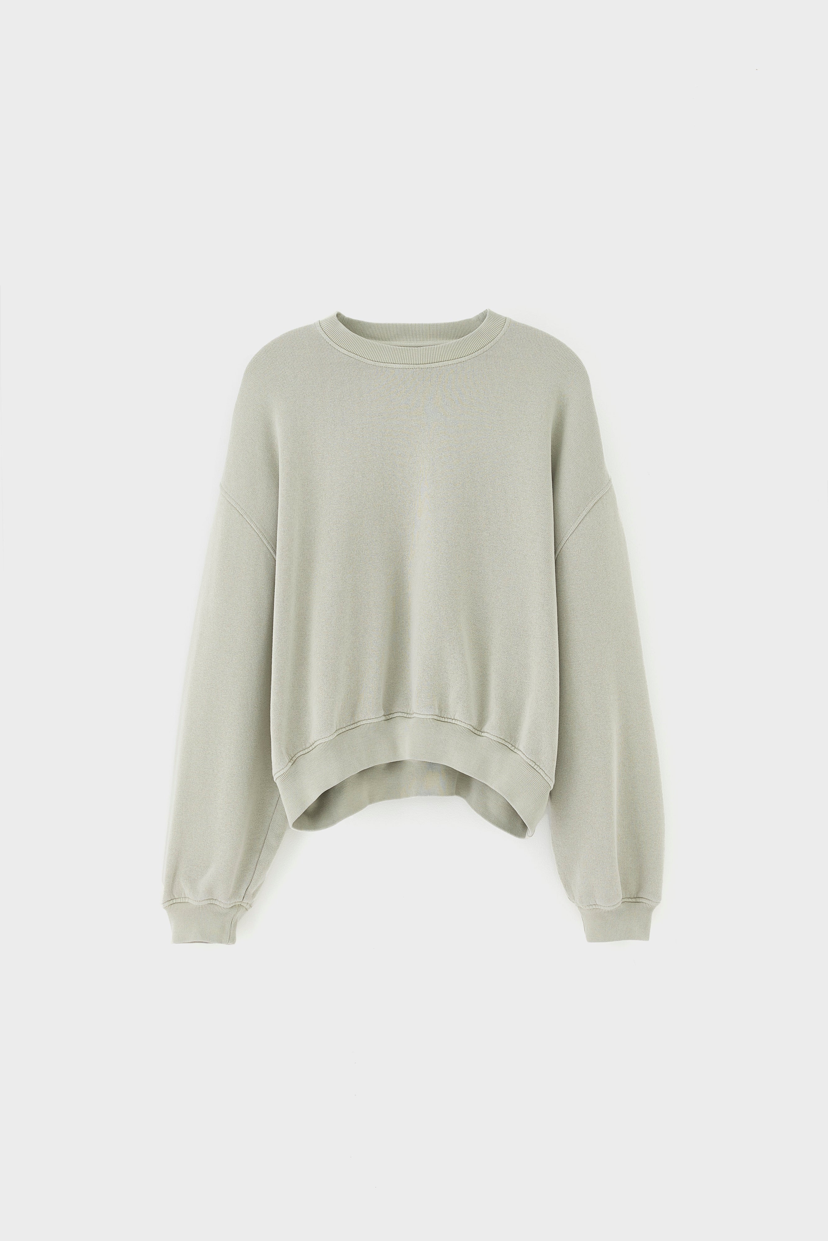Fancy cropped crewneck sweatshirt (261 / W / JADEITE)