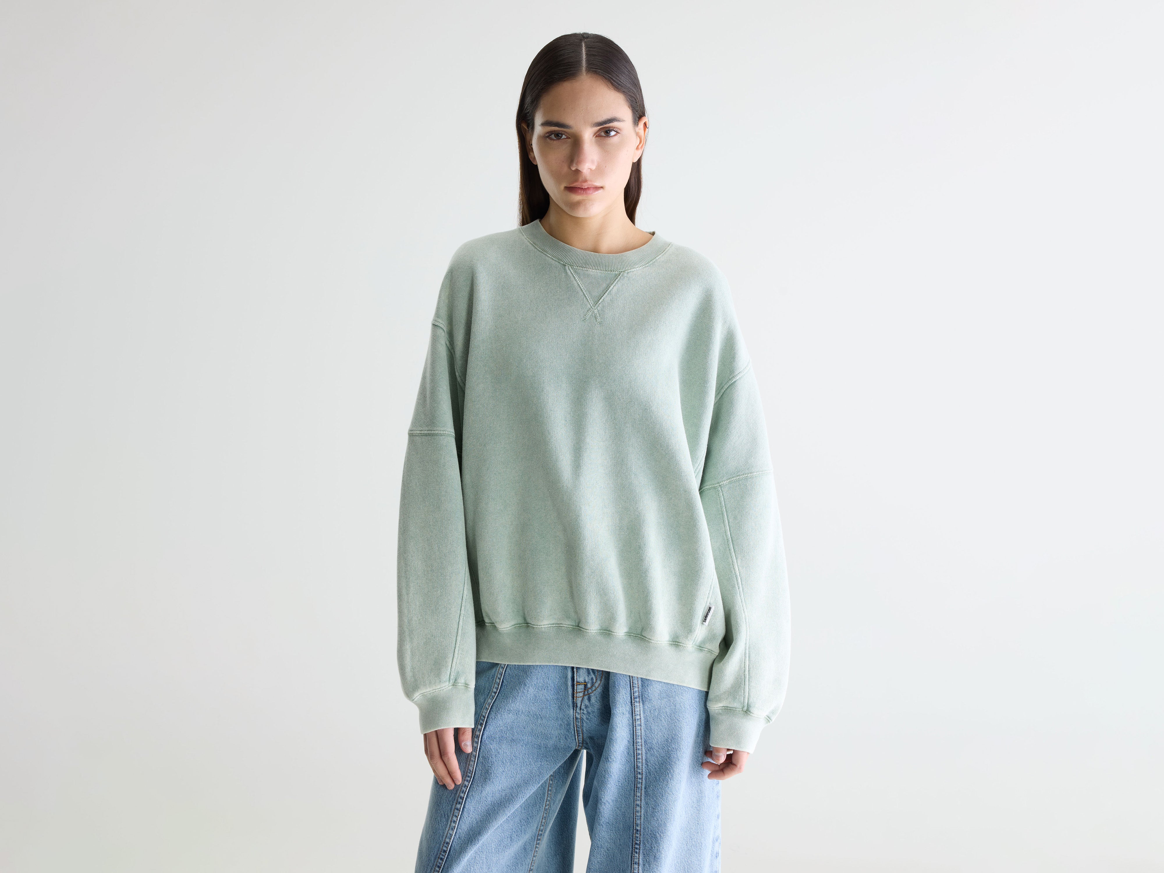 Flips crewneck sweatshirt (261 / W / JADEITE)