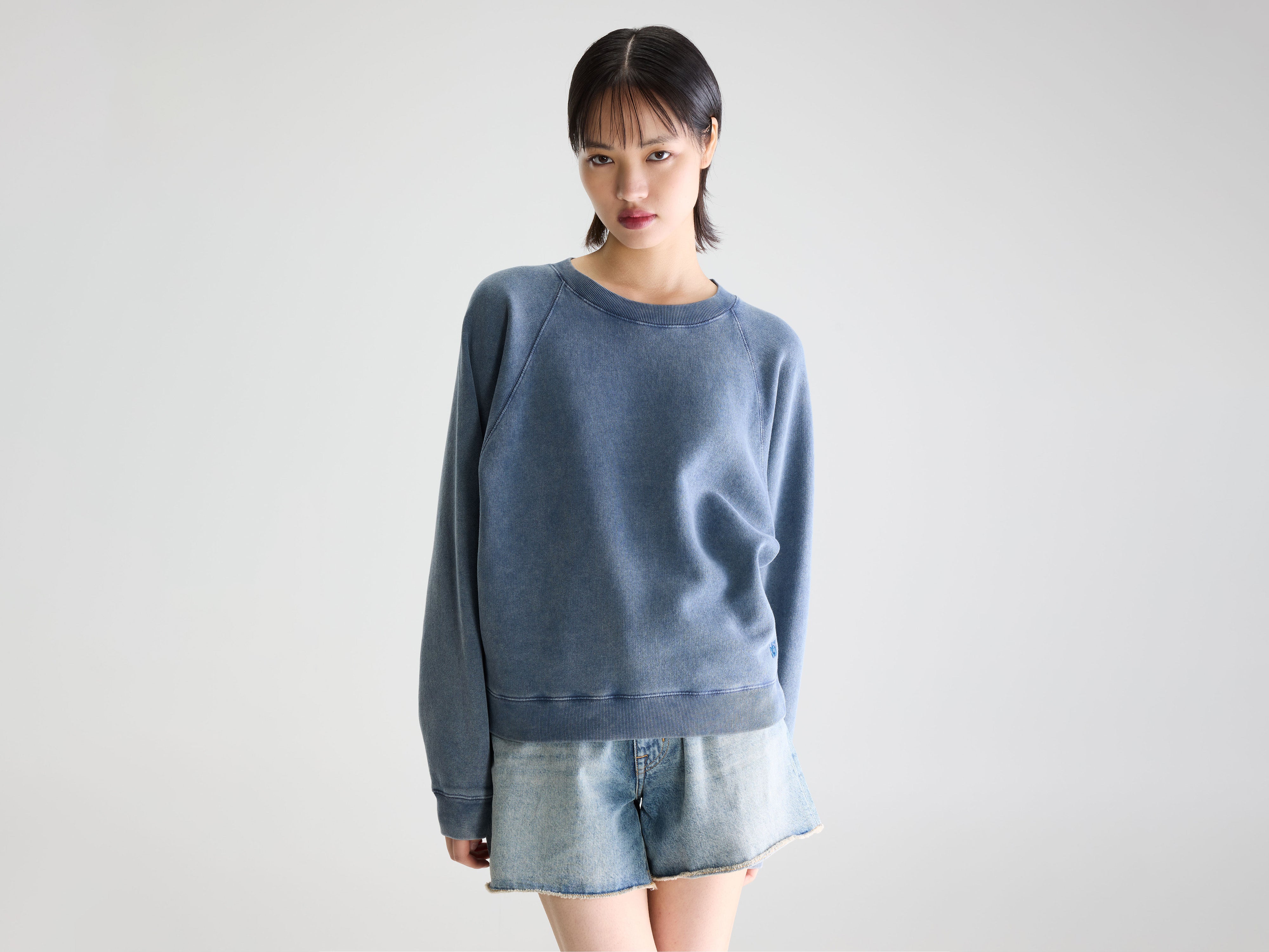 Fella relaxed sweatshirt (261 / W / BLUES)