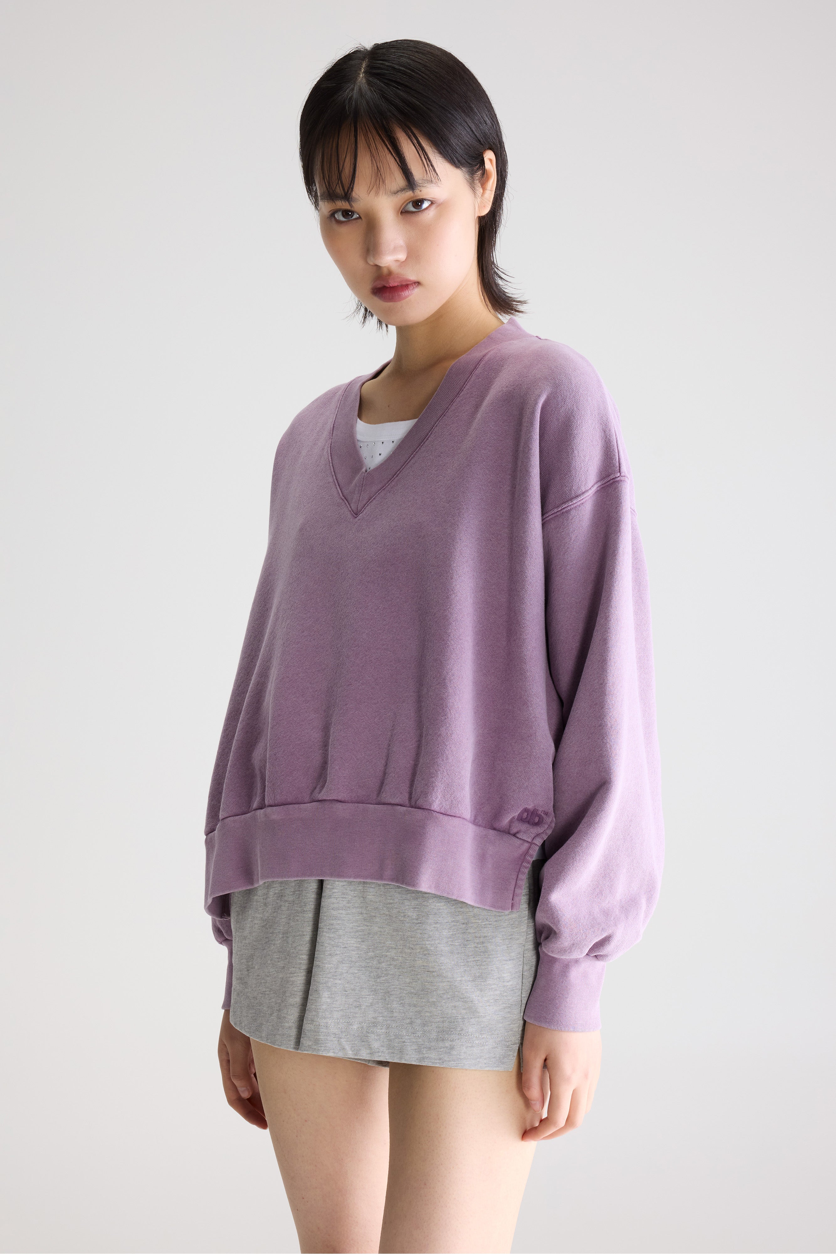 Varola v-neck sweatshirt (261 / W / CROCUS)