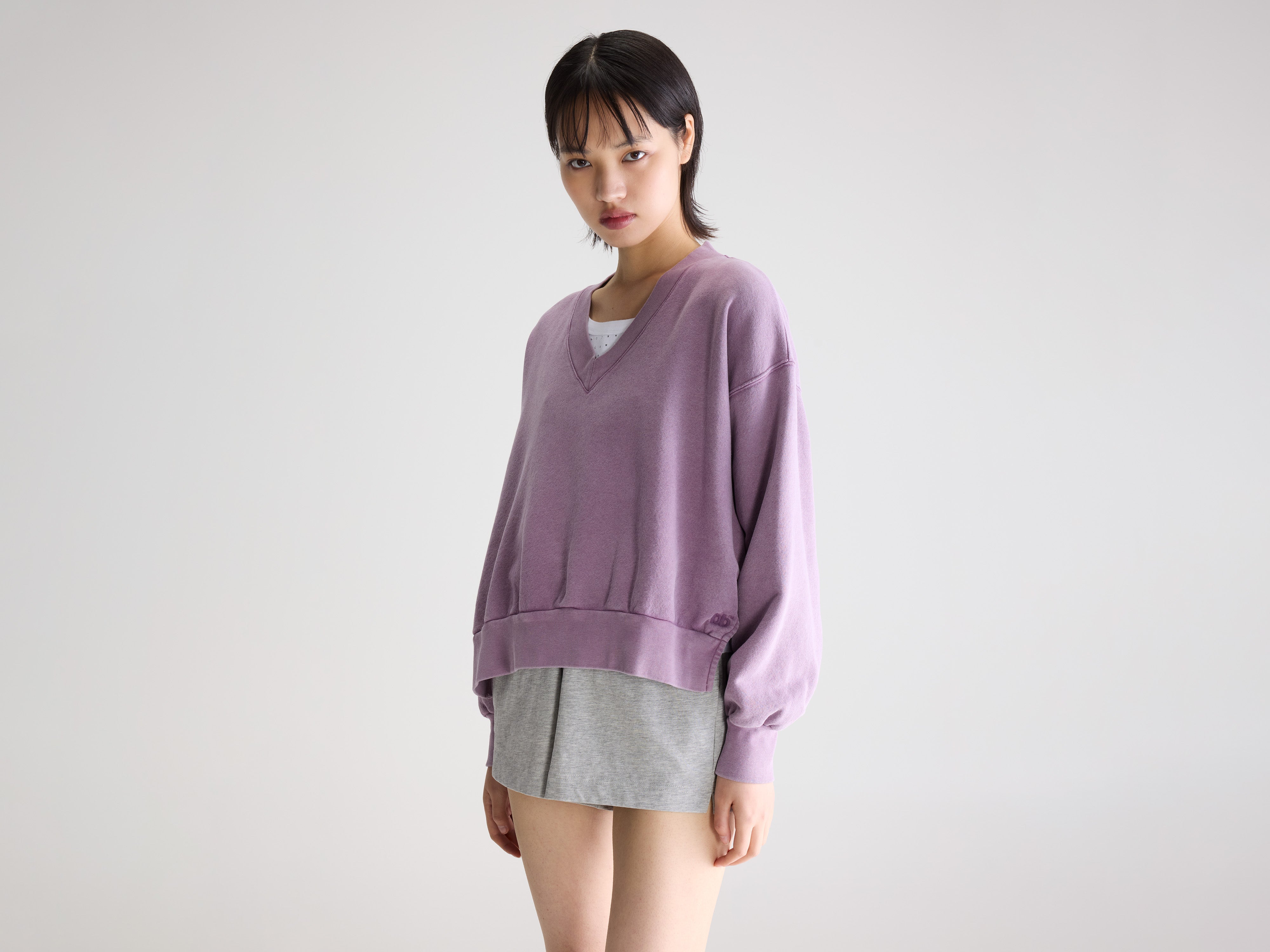 Varola v-neck sweatshirt (261 / W / CROCUS)