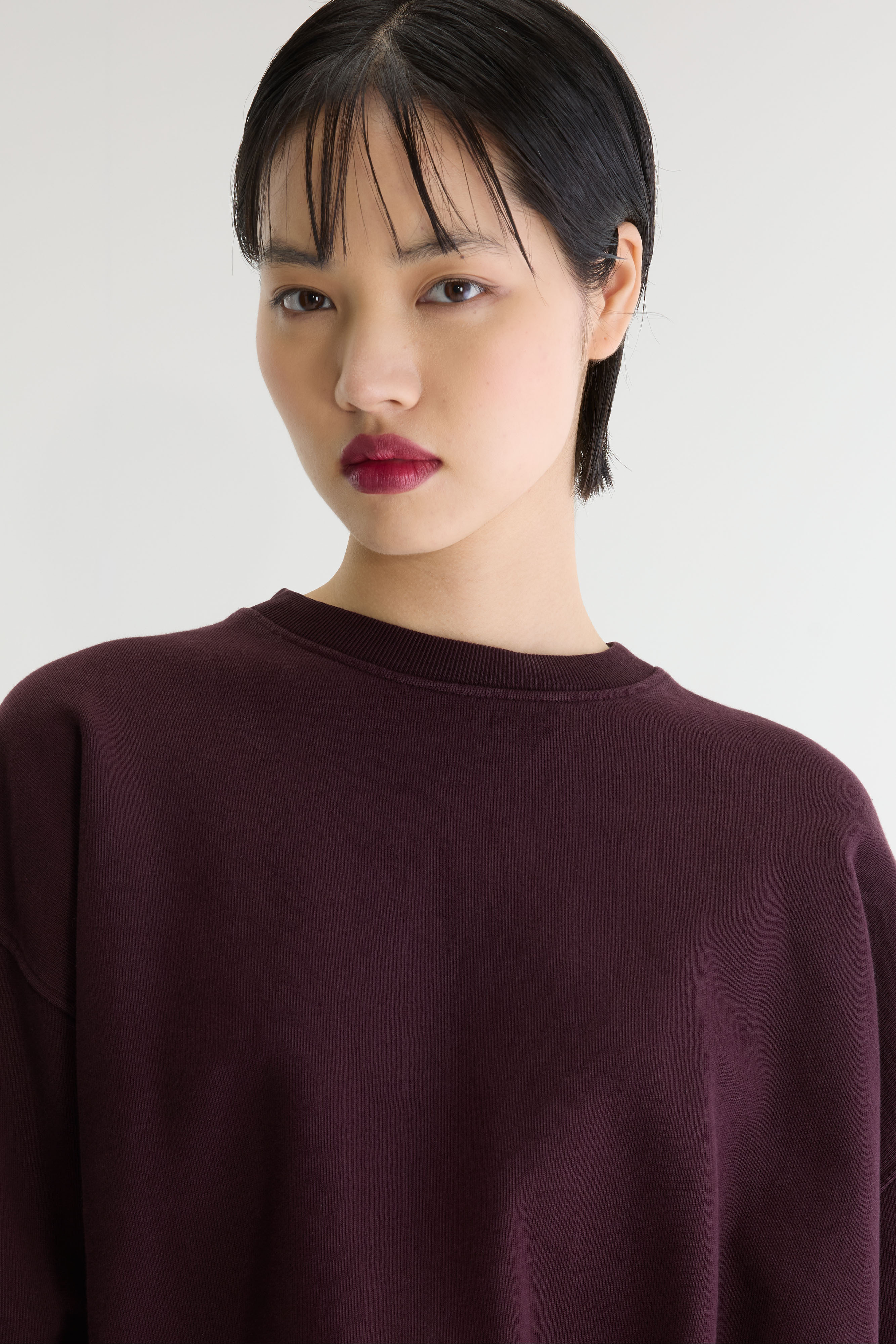 Fancy cropped crewneck sweatshirt (262 / W / BURGUNDY)