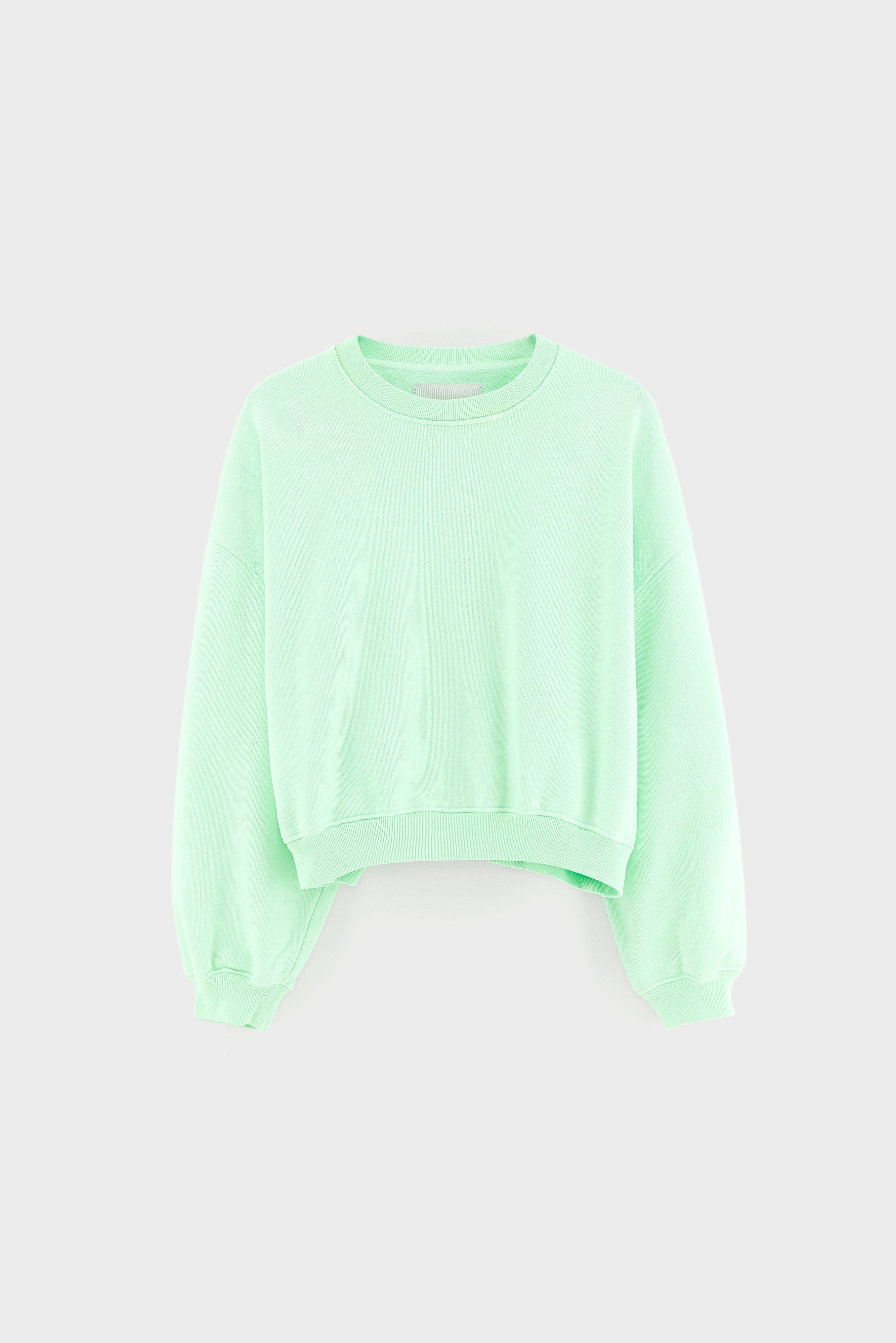 Fancy cropped crewneck sweatshirt (262 / W / VEGAS)