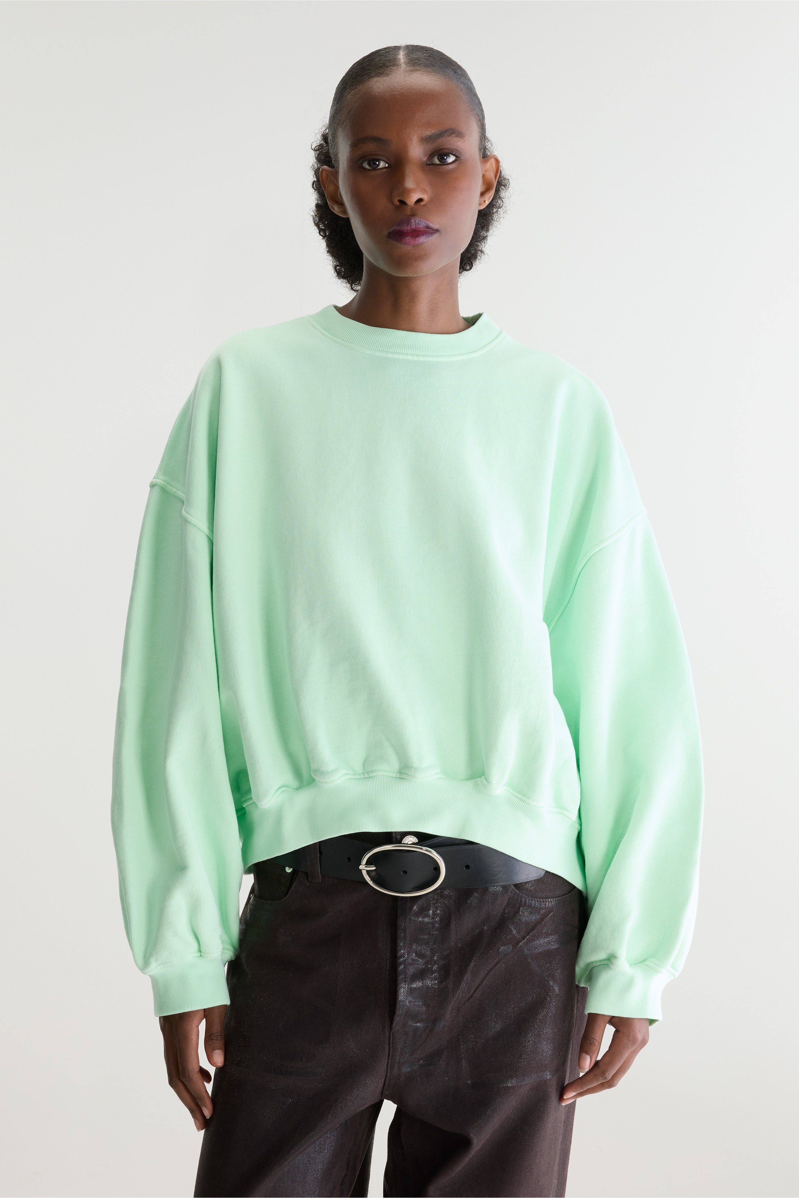 Fancy cropped crewneck sweatshirt (262 / W / VEGAS)
