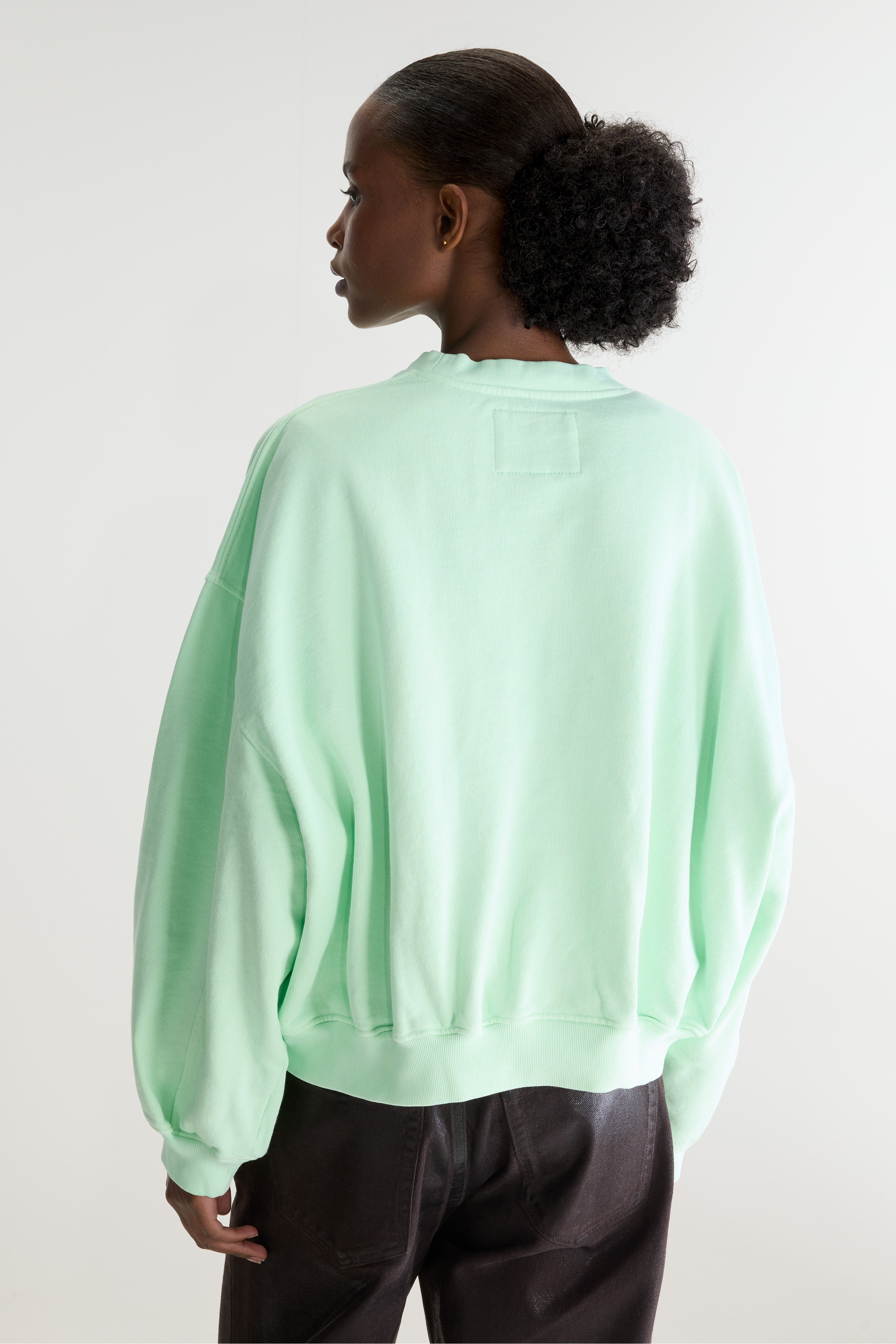 Fancy cropped crewneck sweatshirt (262 / W / VEGAS)
