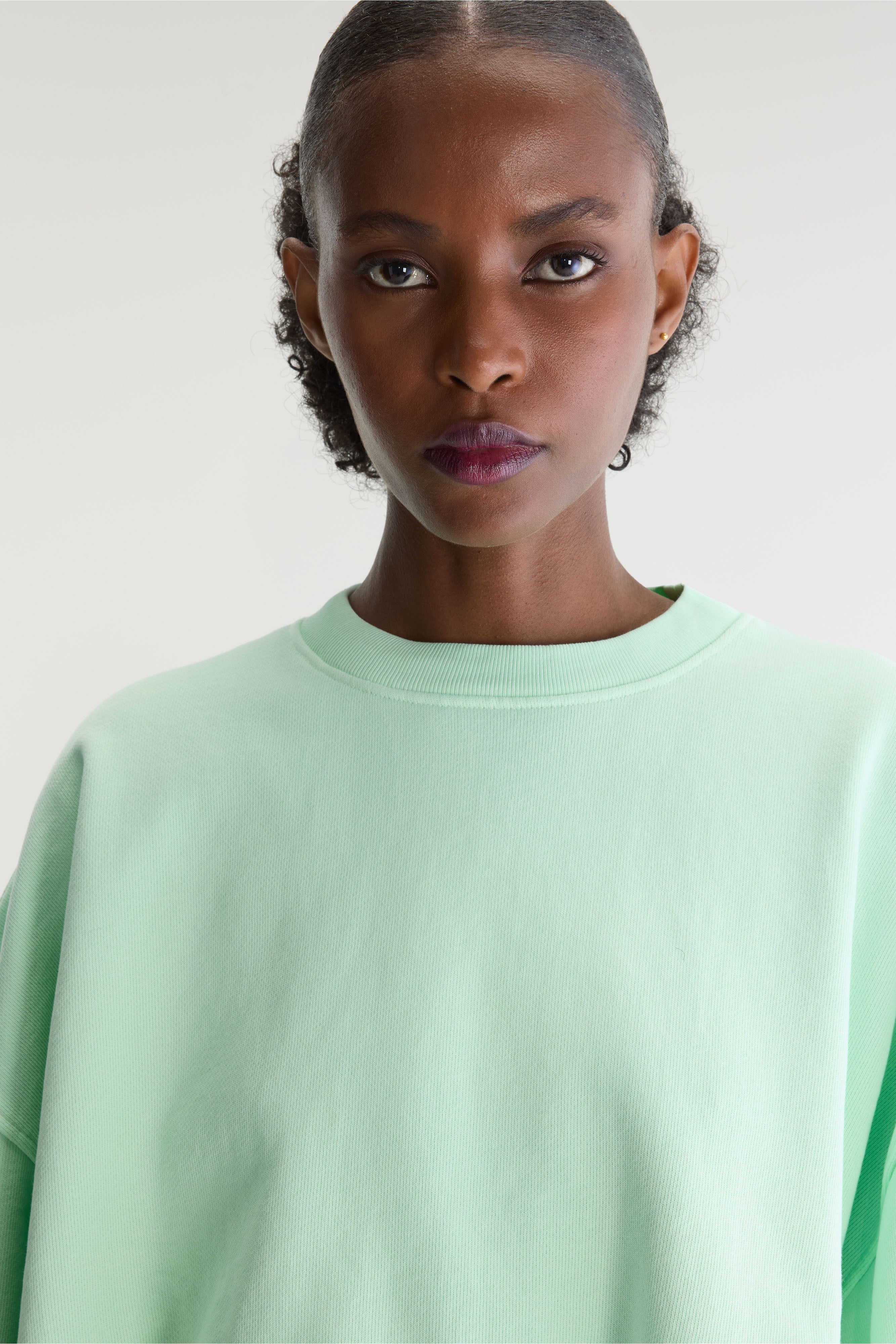 Fancy cropped crewneck sweatshirt (262 / W / VEGAS)