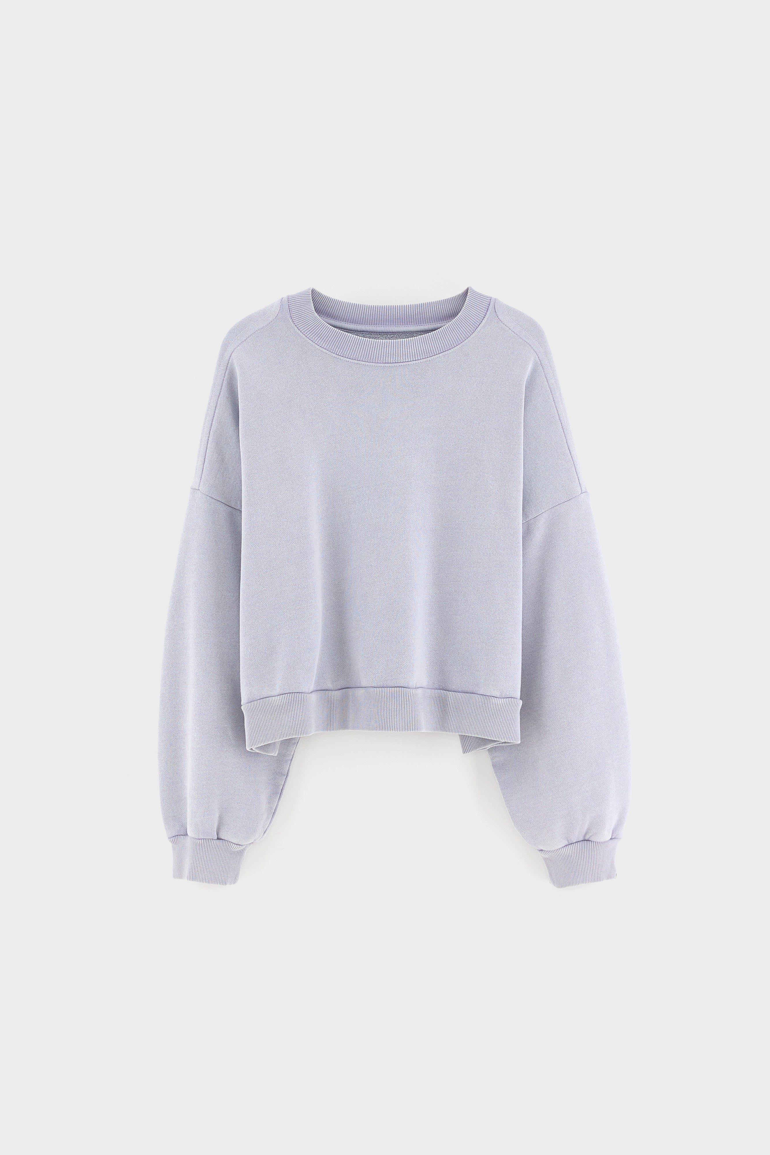 Ferno boxy crewneck sweatshirt (262 / W / ASHES)