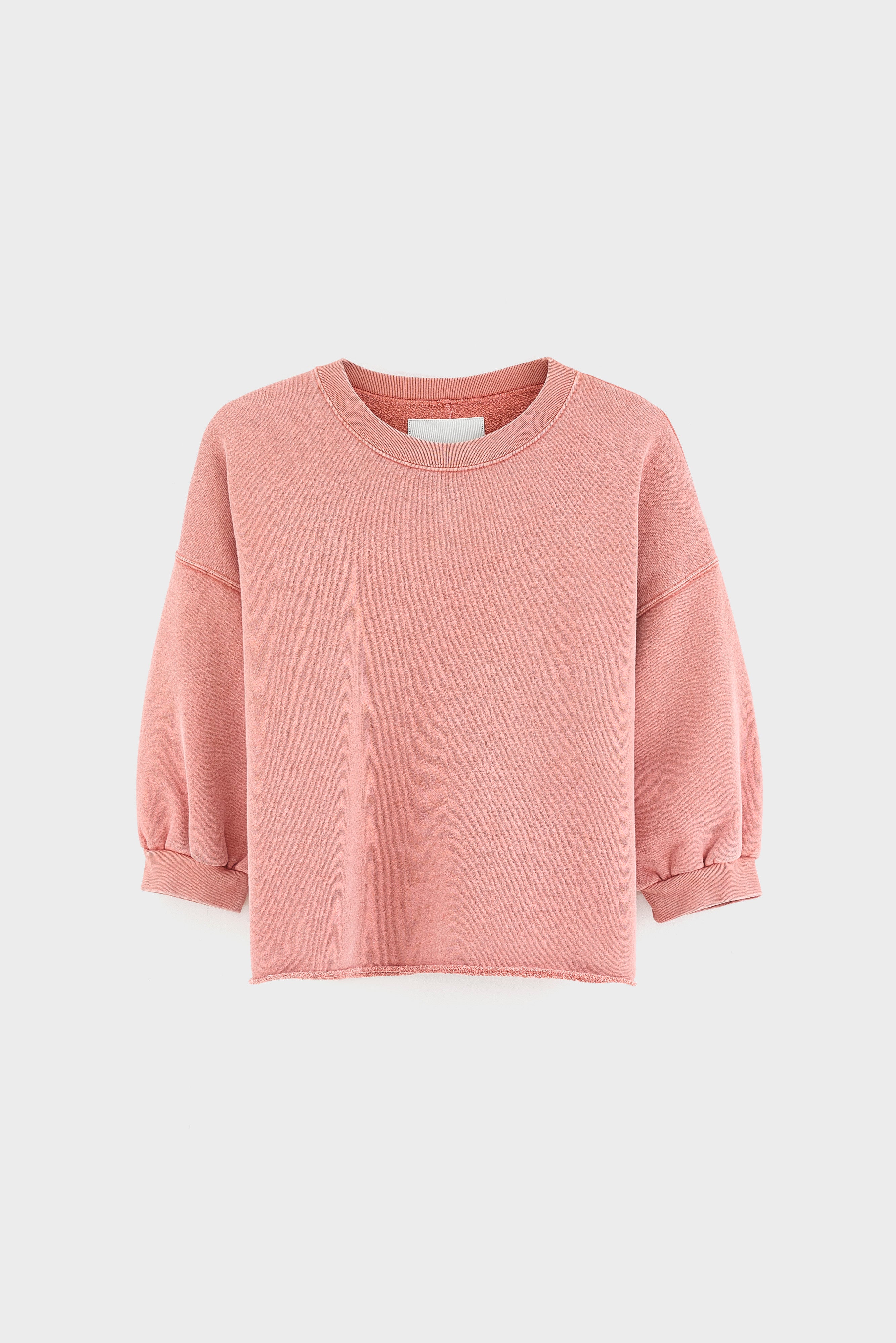 Vicske crewneck sweatshirt (262 / W / ETRUSCAN RED)