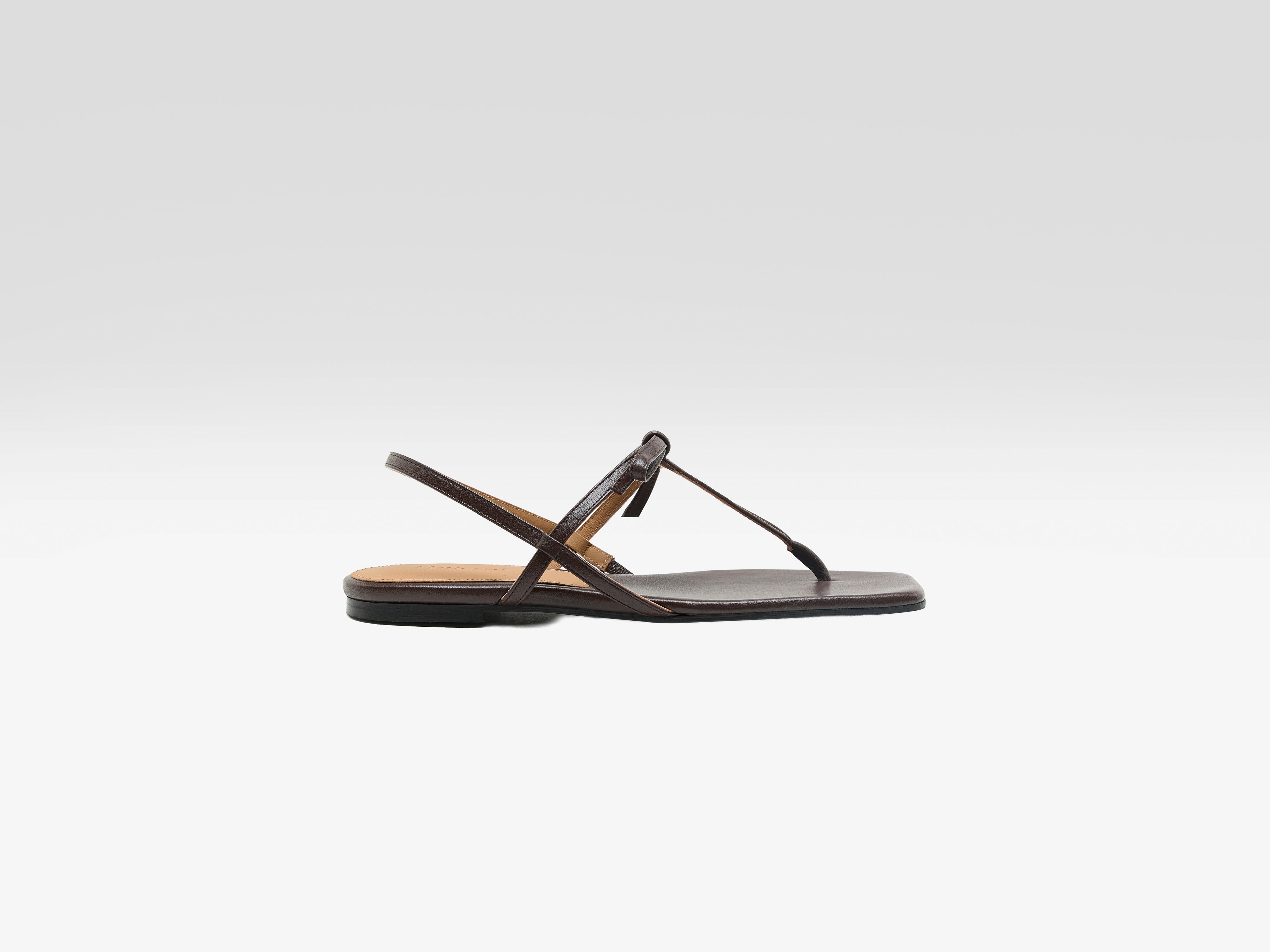 Sina Flat Sandals (261 / W / CHOCOLATE)