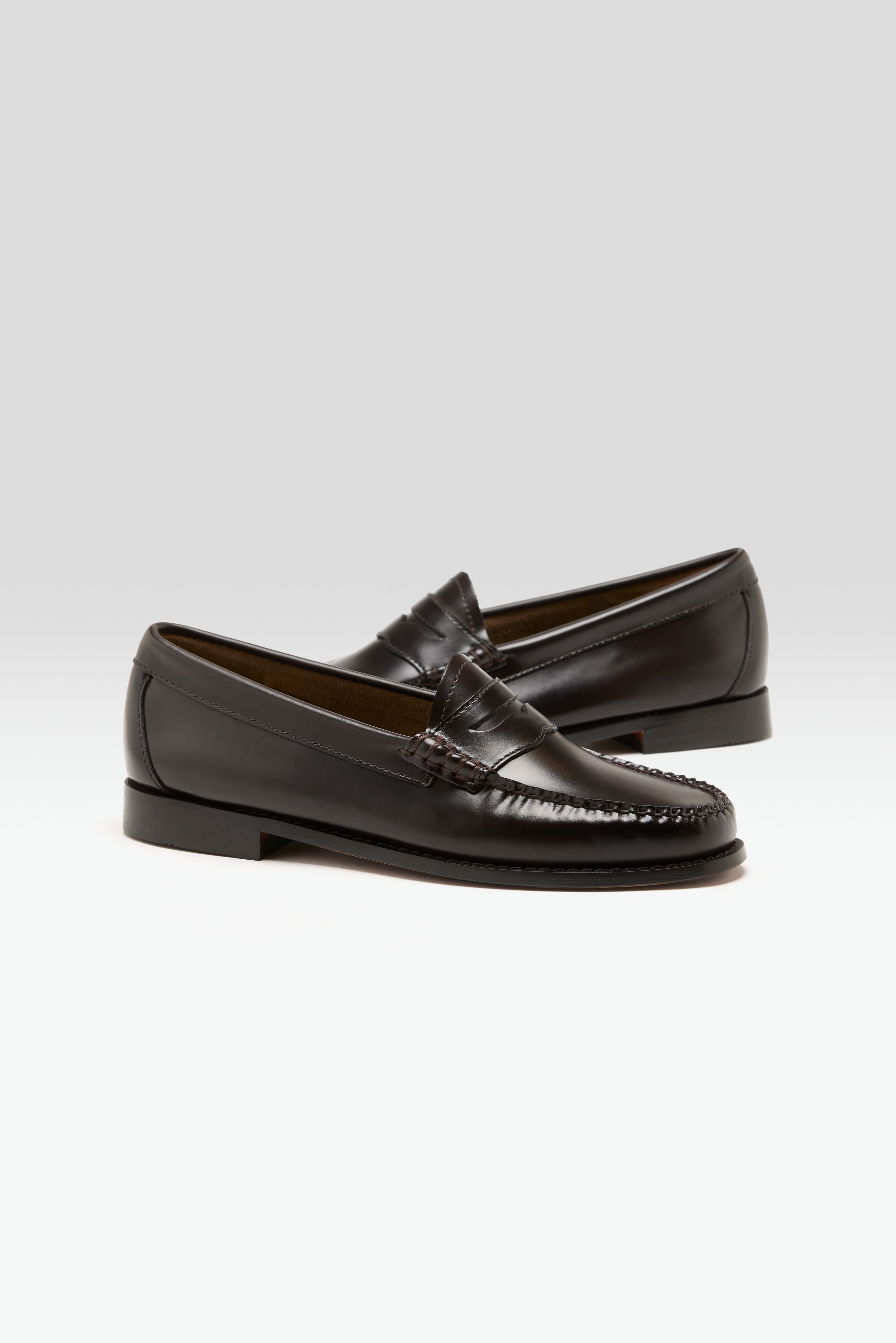 Weejuns Penny Loafers for Women (251 / W / BROWN)