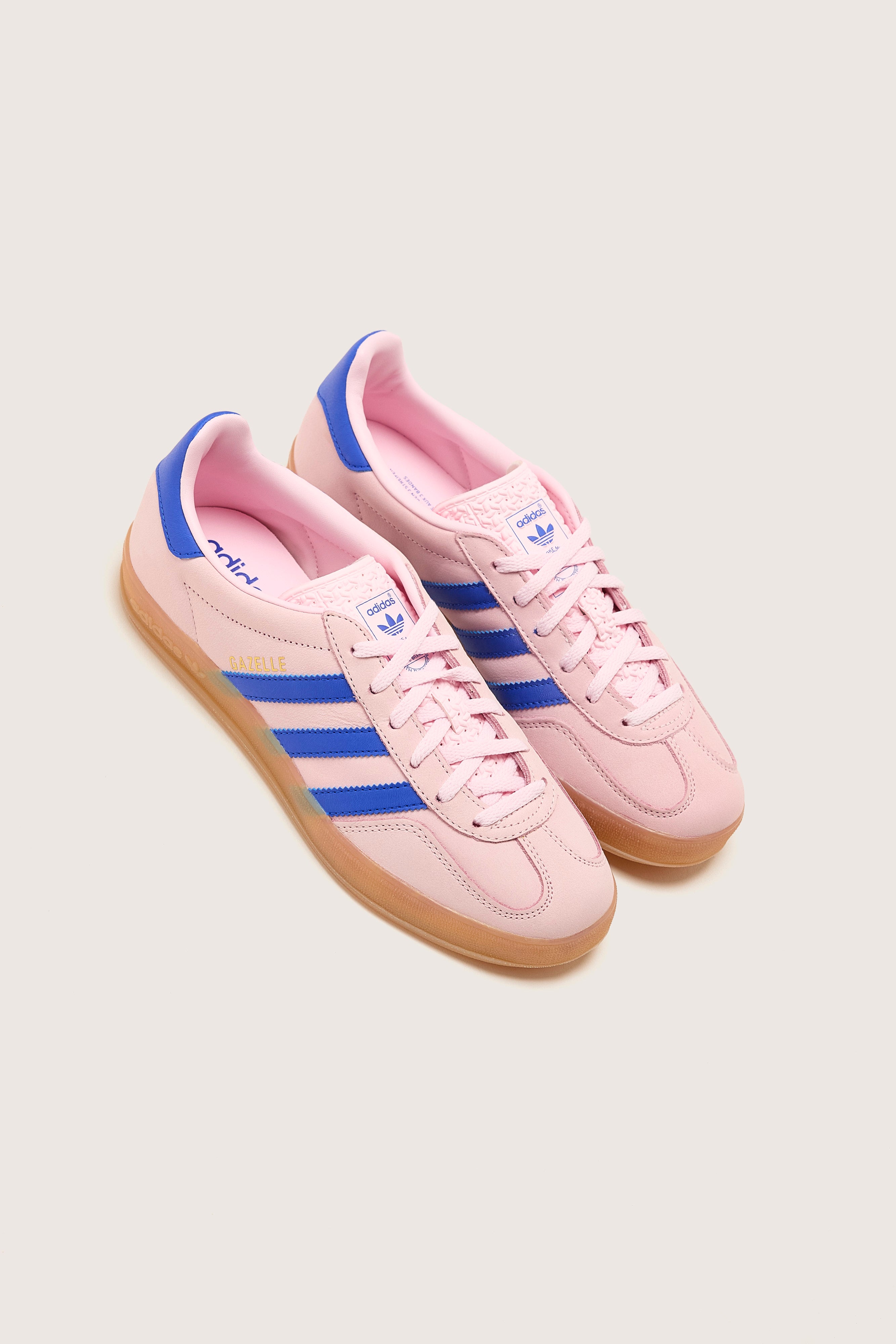 Gazelle Indoor voor dames (242 / W / PINK)