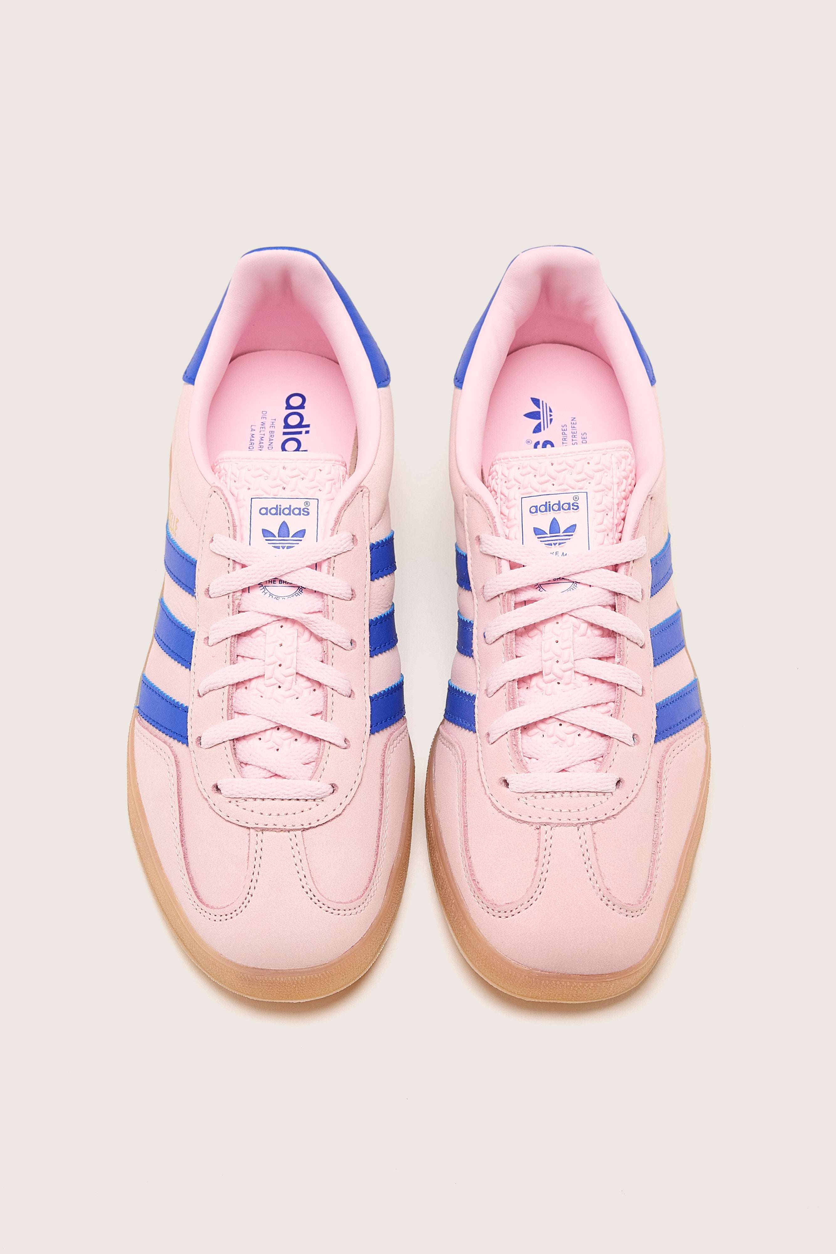 Gazelle Indoor voor dames (242 / W / PINK)