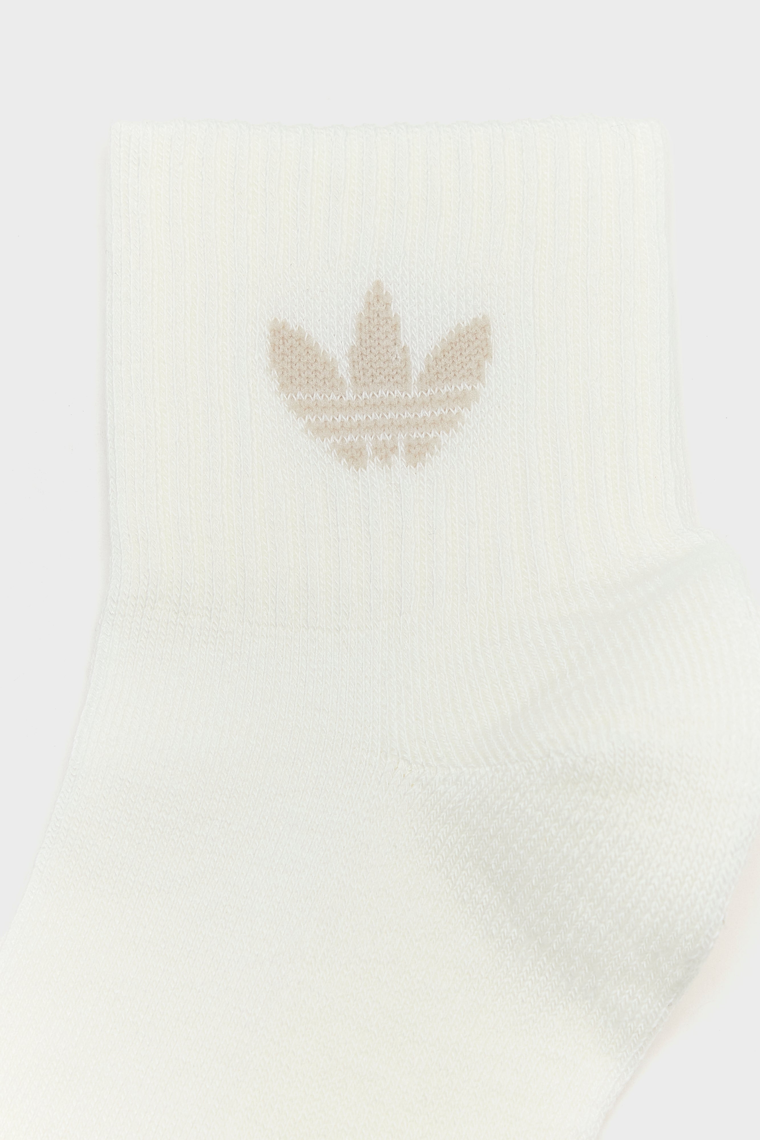 Mid Crew Socks for Women  (251 / W / MULTICOLOR)