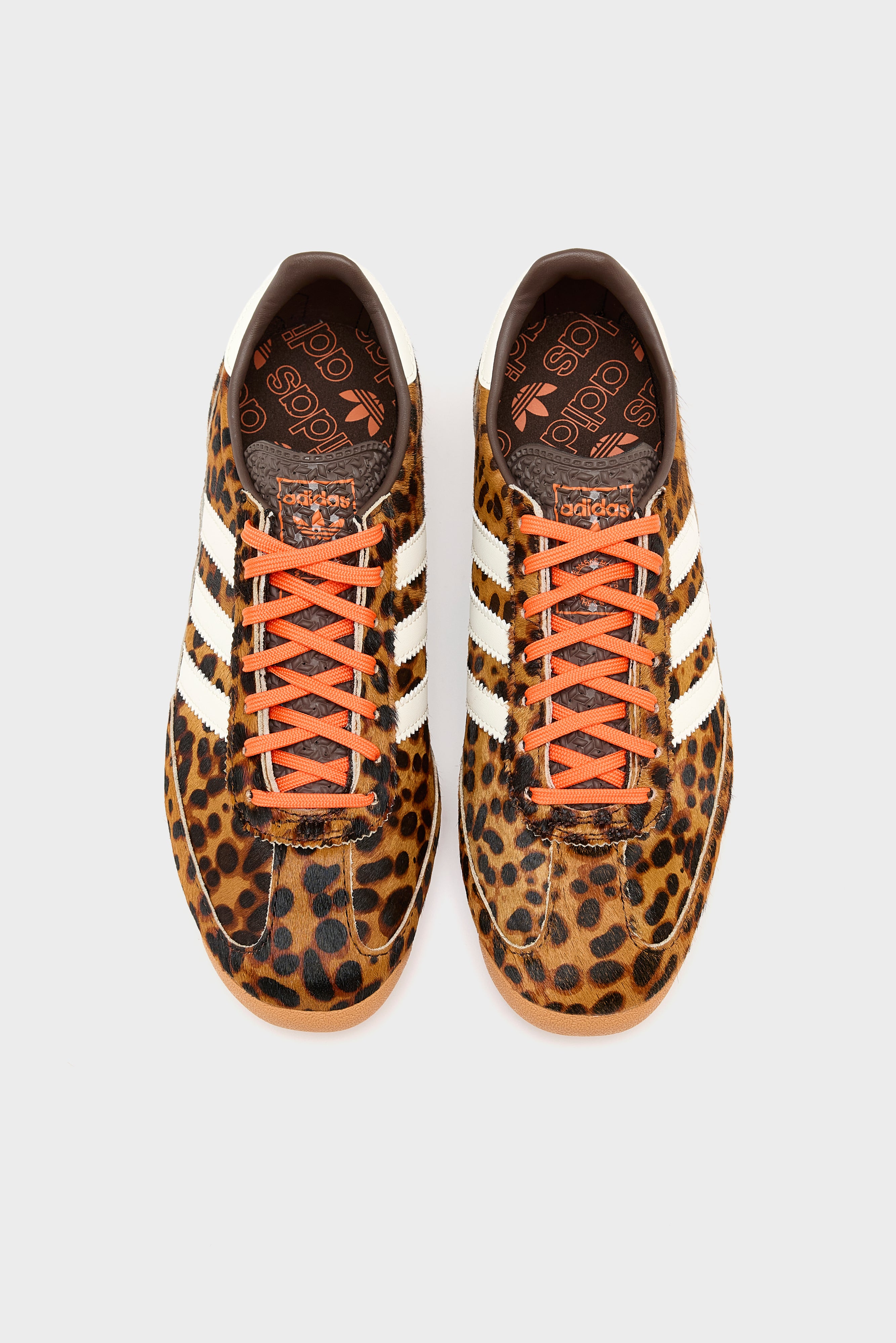 SL 72 OG for Women  (252 / W / BROWN)